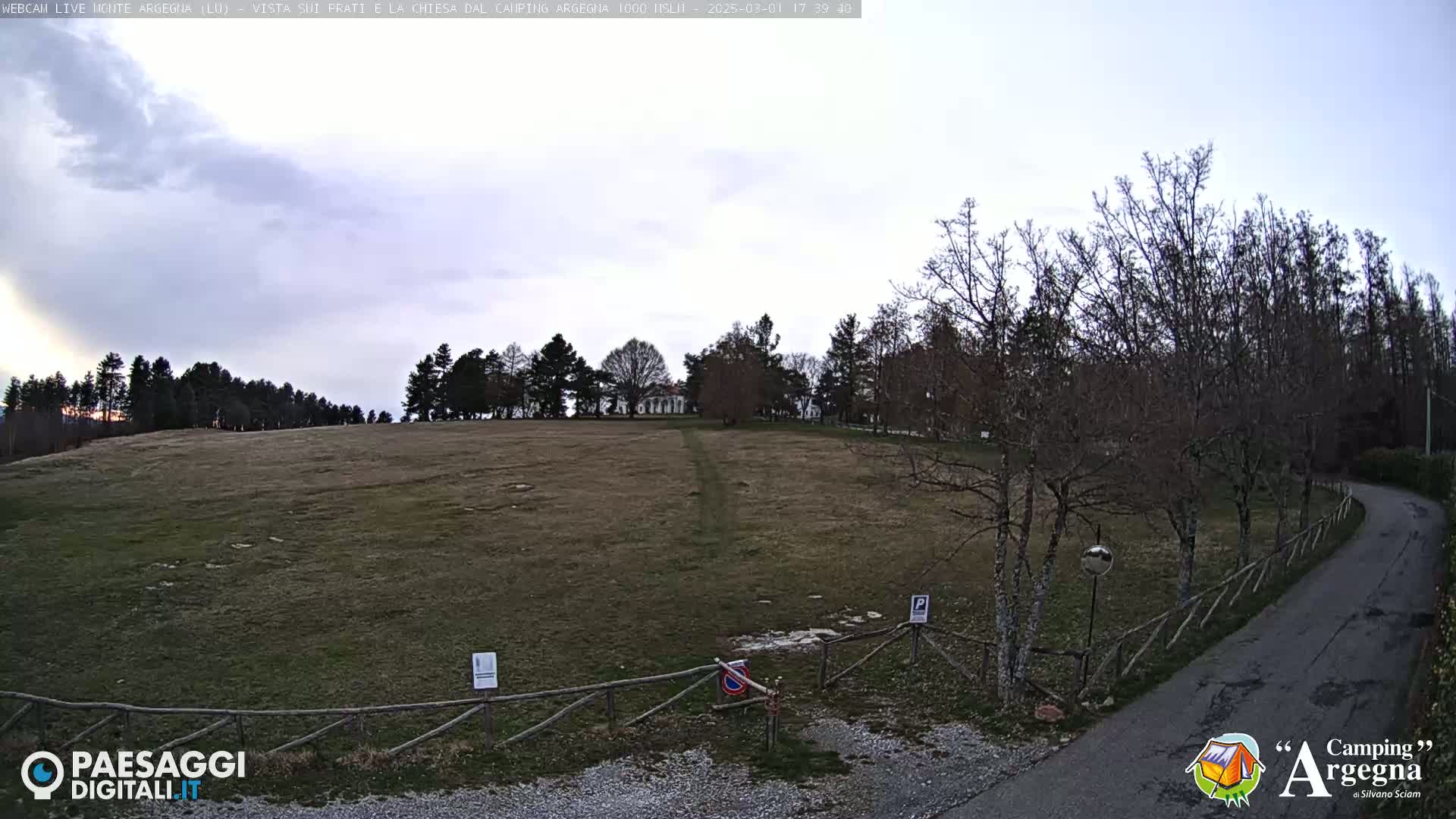 A large, grassy field is bordered by bare trees and a paved road curving into the scene under a cloudy sky.