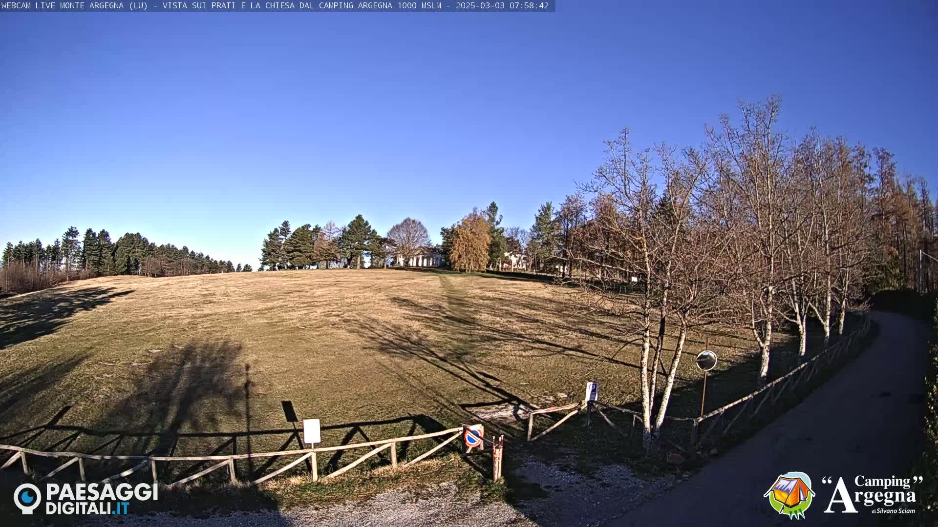 A wide, grassy field slopes gently downward toward a wooden fence and paved road, under a clear blue sky, with leafless trees lining the edges.