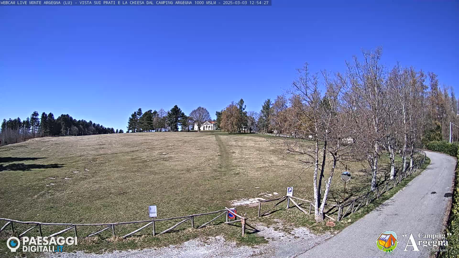 A grassy field with a small building in the distance is visible under a clear blue sky, with bare trees lining a curved roadway to the right.