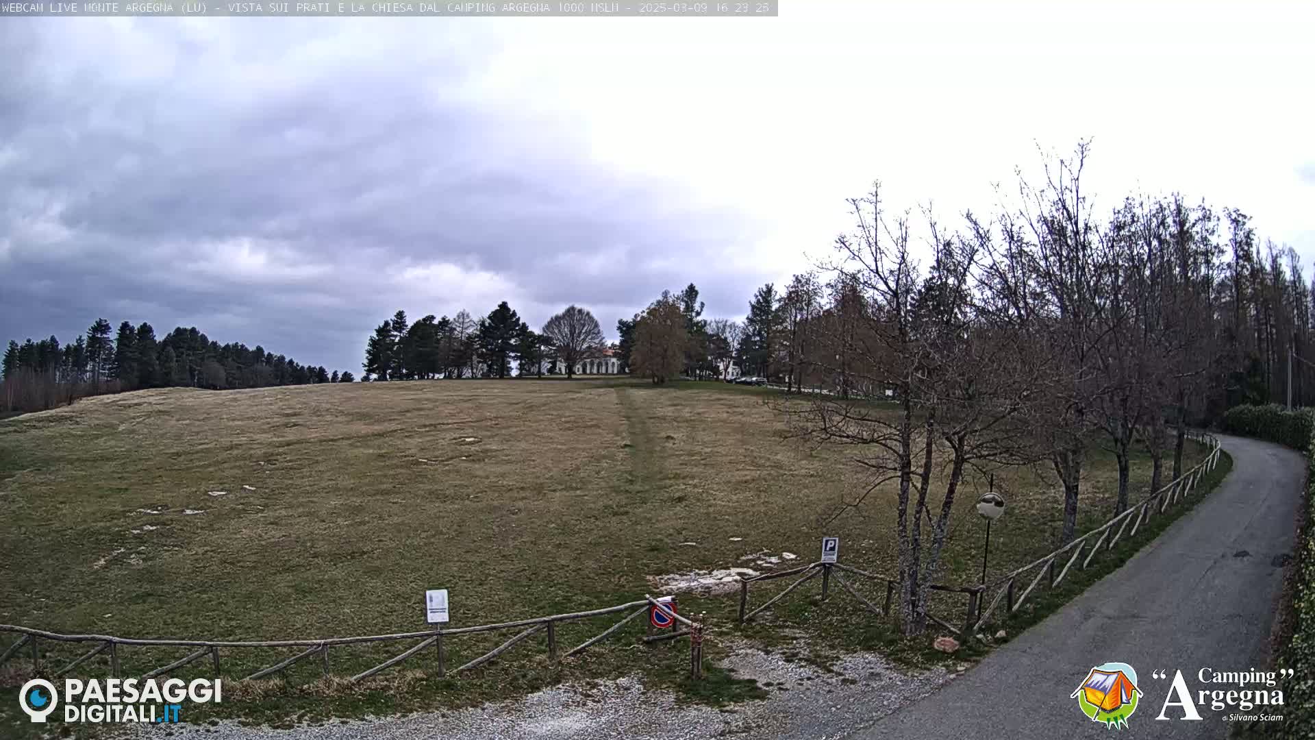 A wide, grassy field stretches out under a mostly cloudy sky, with leafless trees lining a paved road curving into the background.