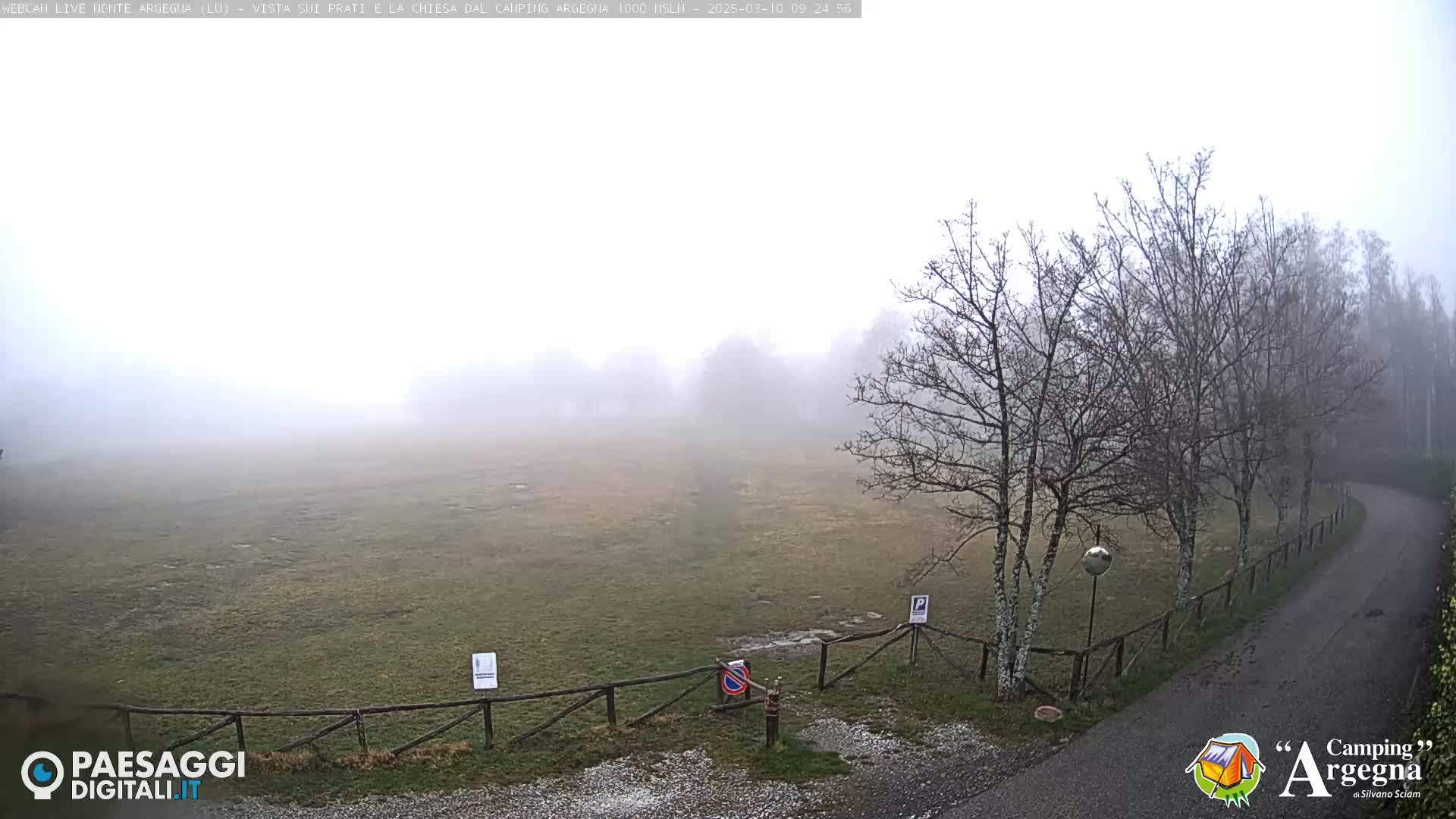 A foggy field with bare trees and a paved road is enclosed by a wooden fence.