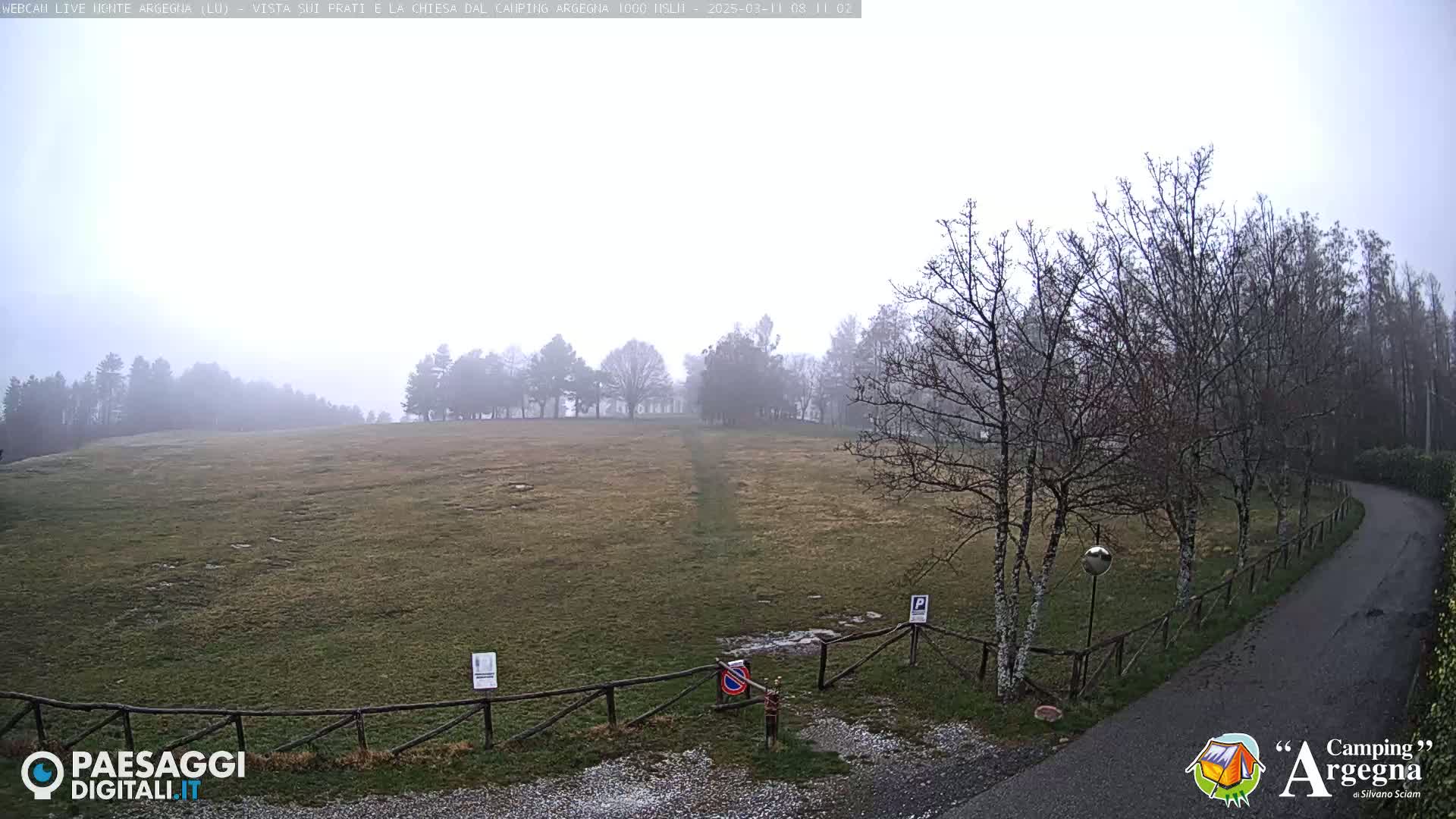 A foggy, grassy field with bare trees and a paved road leading to a gated entrance.