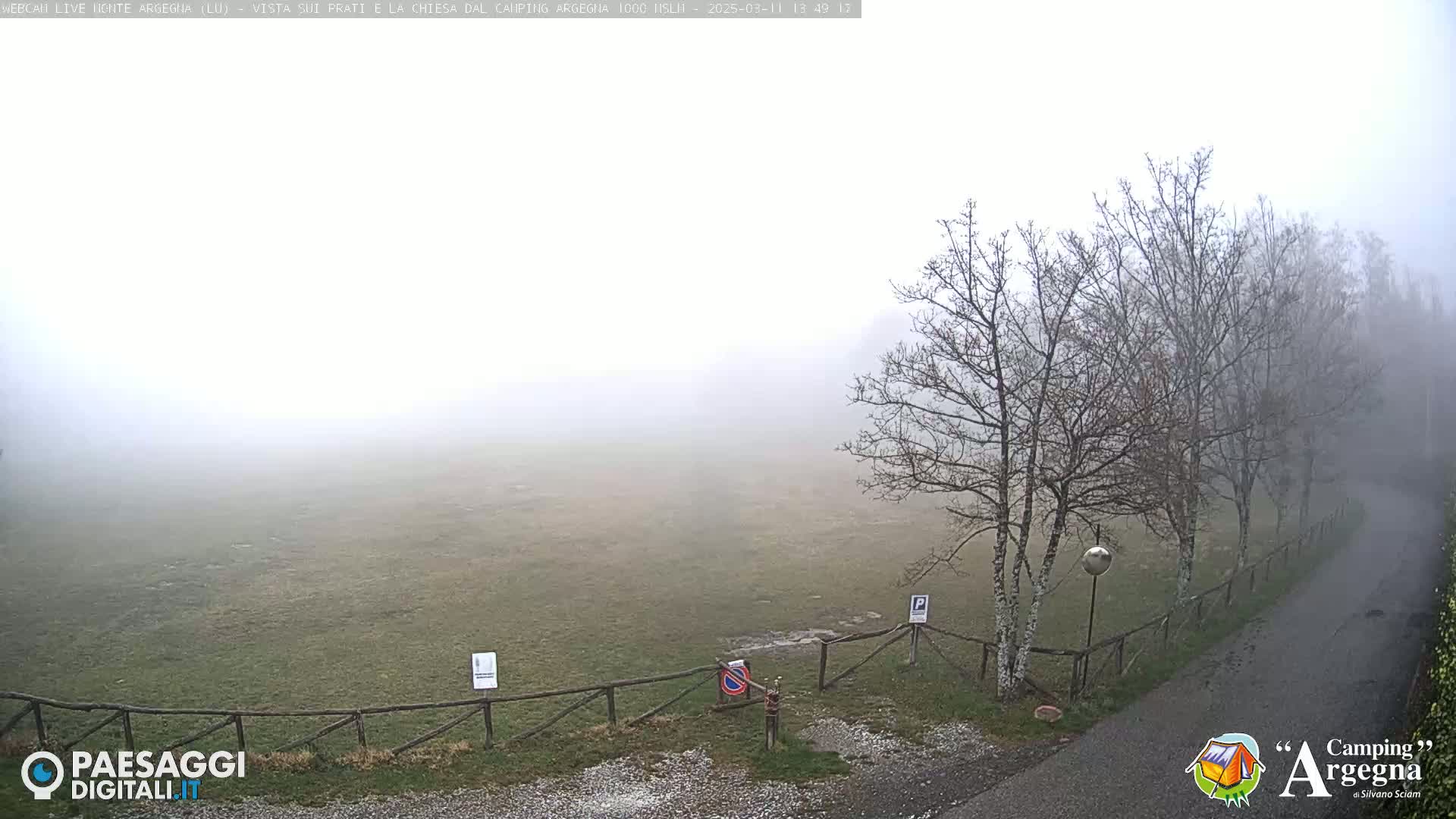 A foggy field is visible beyond a wooden fence and a paved road, with bare trees lining the road.