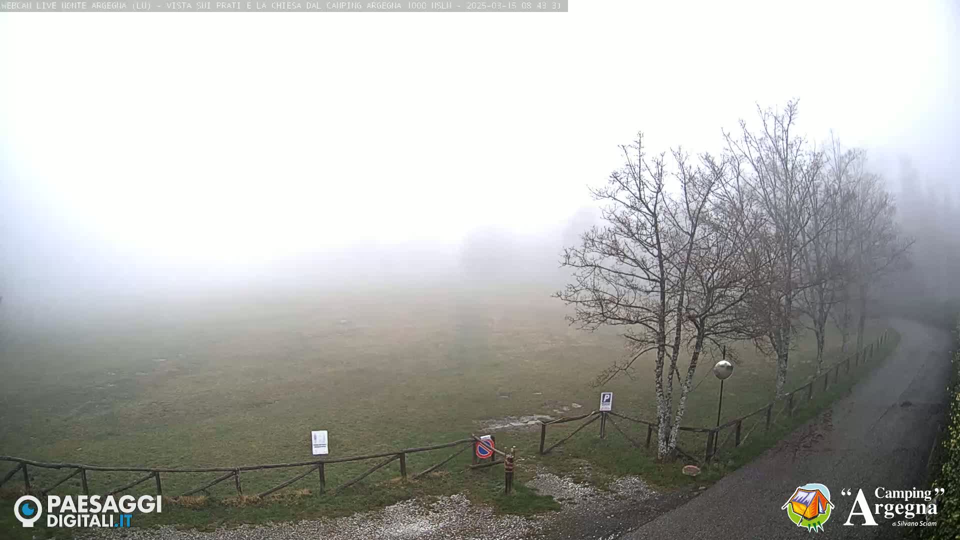 A foggy field with bare trees and a paved road is visible from an elevated vantage point.