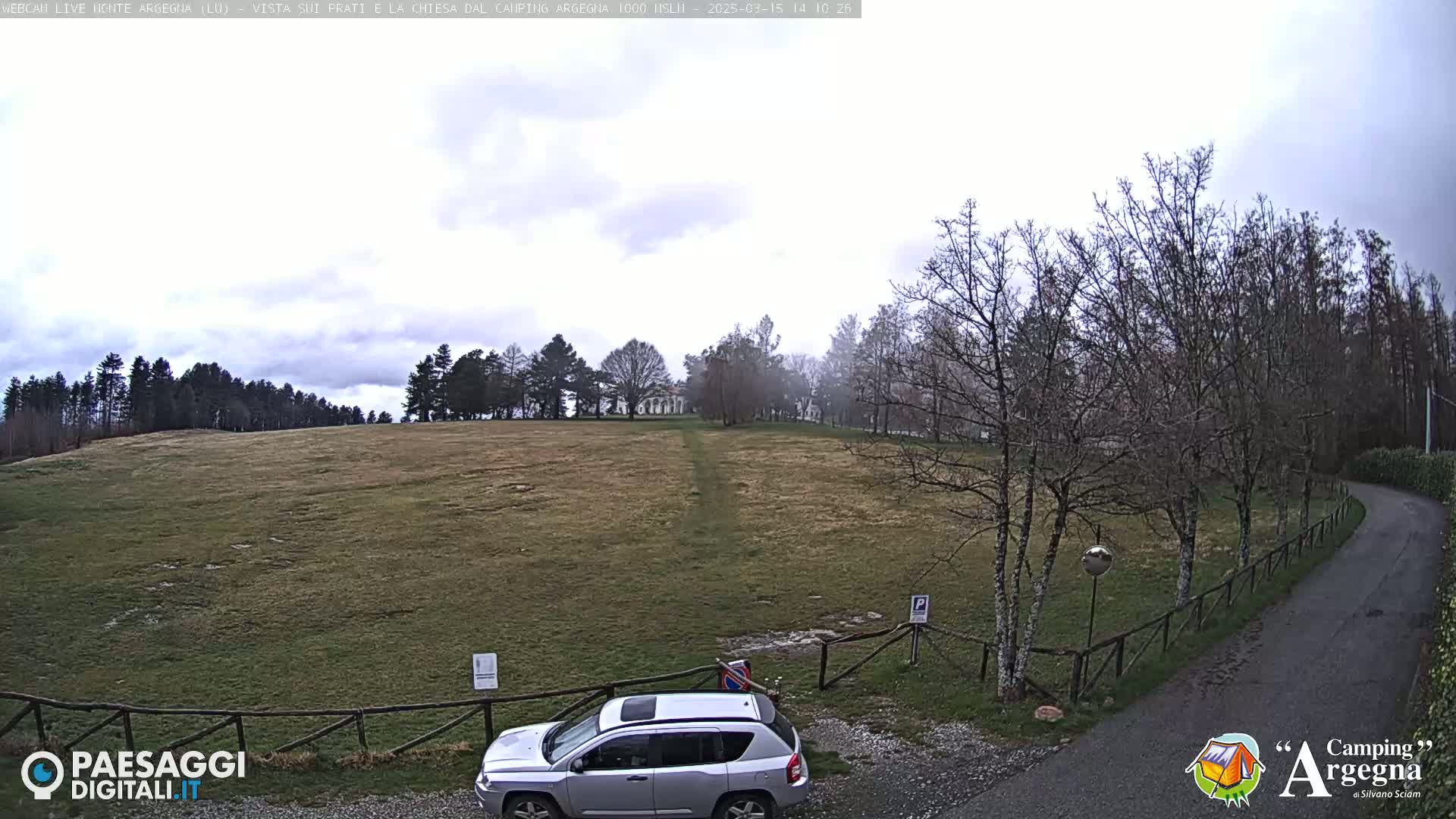 A silver SUV is parked near a wooden fence in a grassy field, with bare trees and an overcast sky in the background.