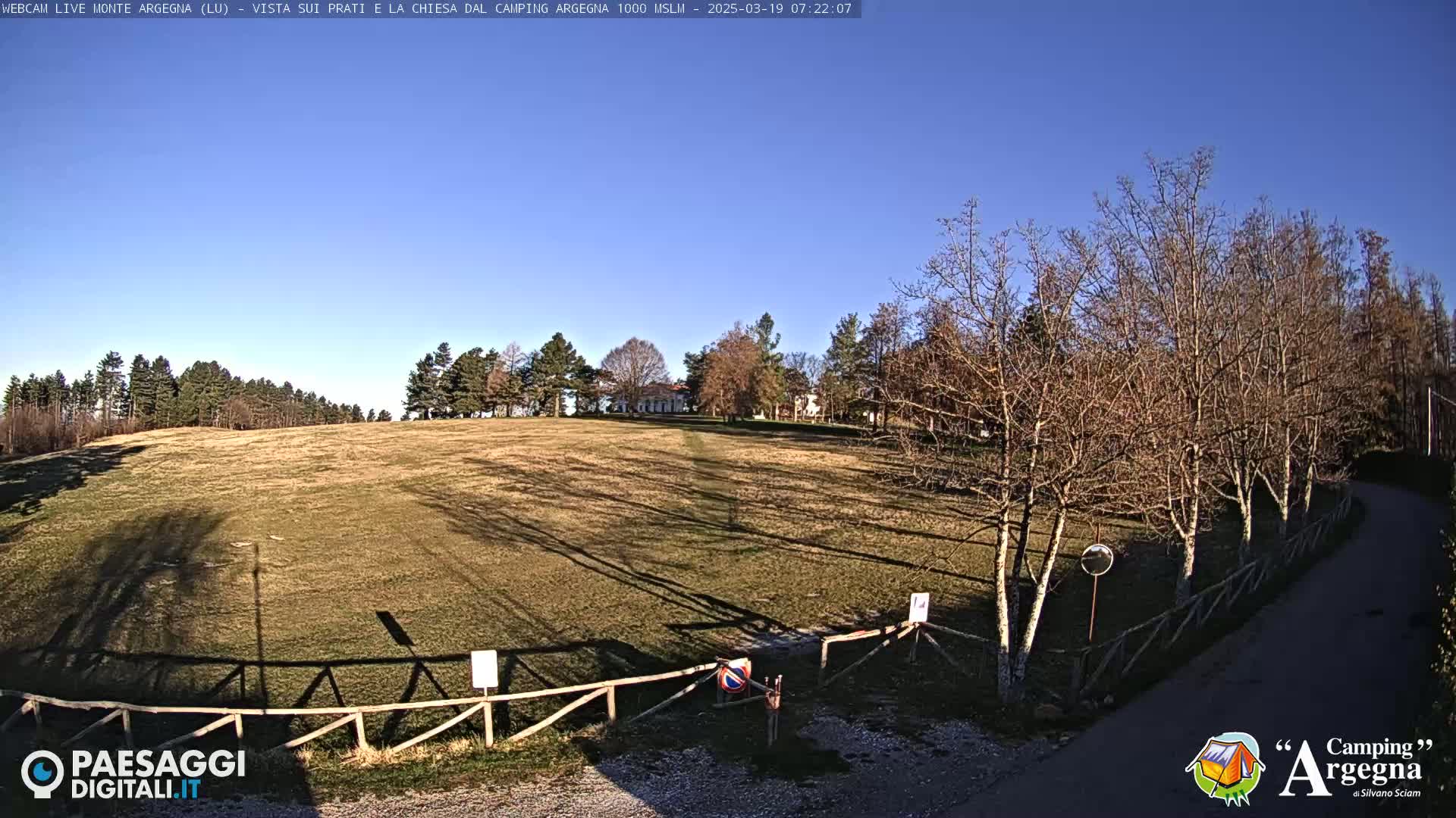 A grassy field with leafless trees and a building in the distance under a clear blue sky.
