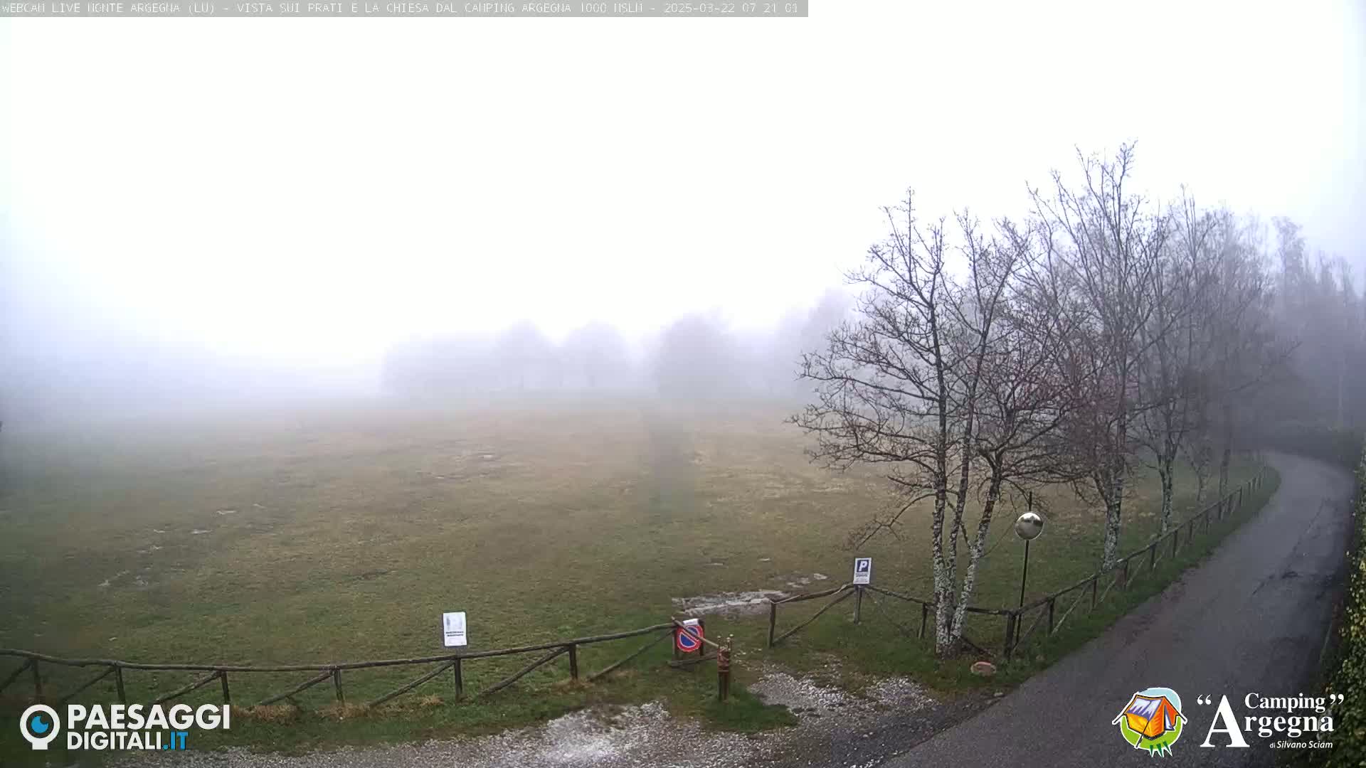 A foggy, grassy field is bordered by bare trees and a curving road.