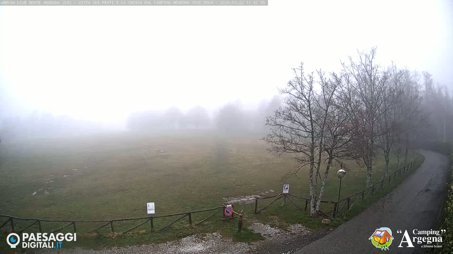 A foggy field is bordered by bare trees and a curving road, with a wooden fence separating the field from the road.