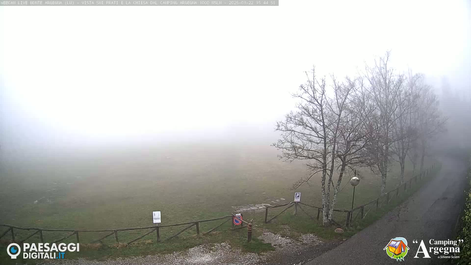 A foggy field is visible beyond a wooden fence and a paved road, with bare trees lining the roadside.