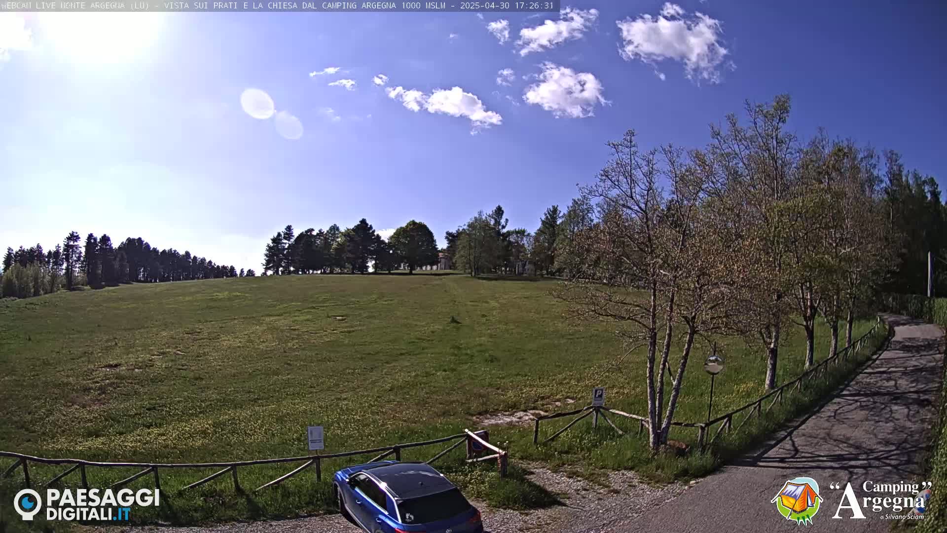 A blue car is parked in a grassy field near a road under a partly sunny sky.