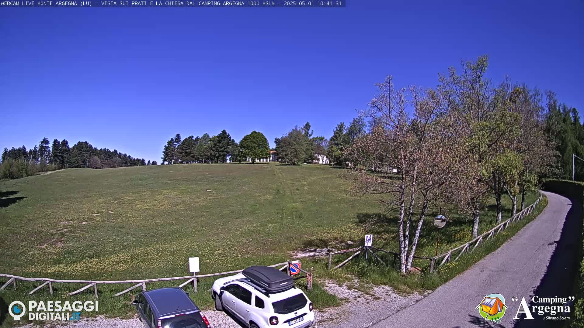A grassy field with trees and a few cars parked in a lot, under a clear blue sky.