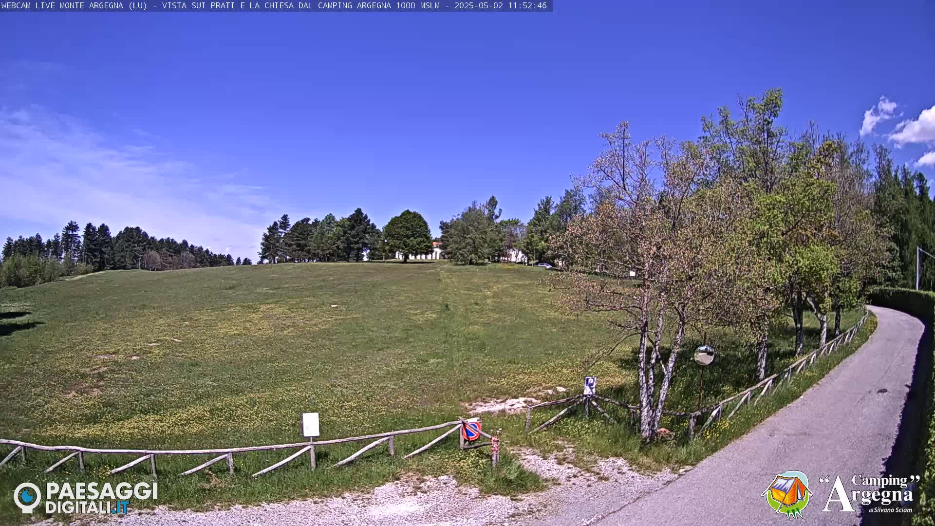 A grassy field with a few trees and a paved road under a clear blue sky.