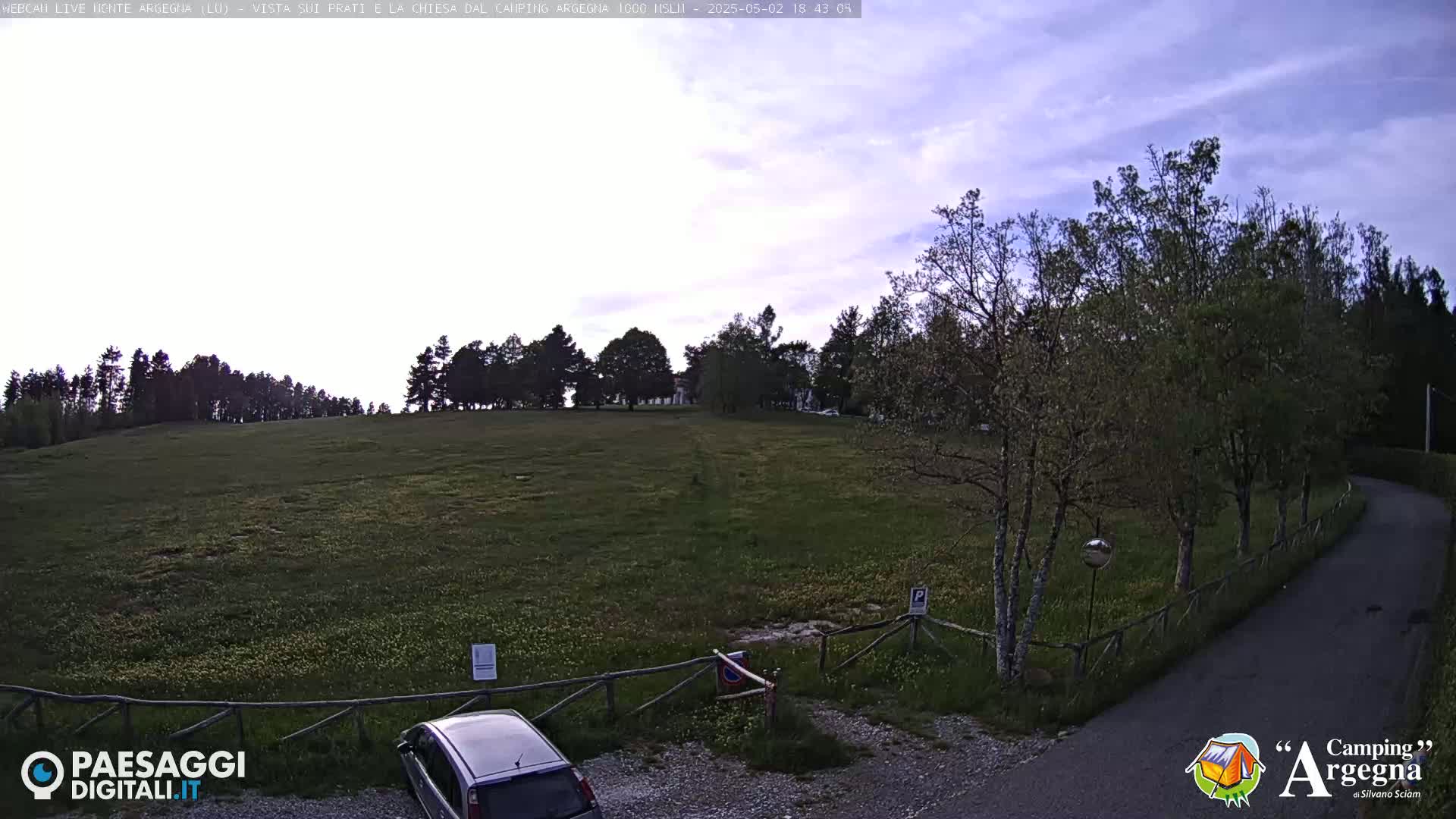 A grassy field with scattered wildflowers is visible, bordered by trees and a paved road under a partly cloudy sky.
