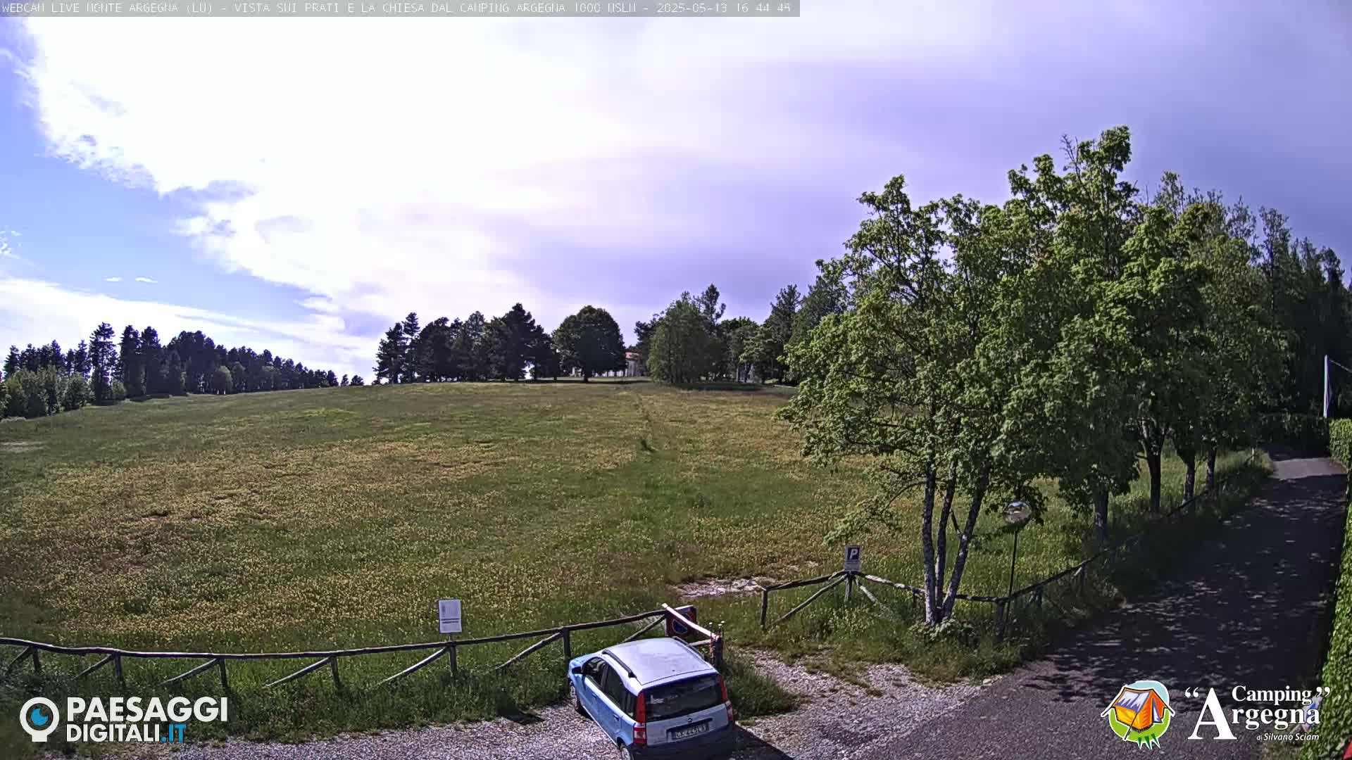 A light blue car sits in a parking area near a wooden fence, overlooking a grassy field dotted with yellow wildflowers and a line of trees under a partly cloudy sky.