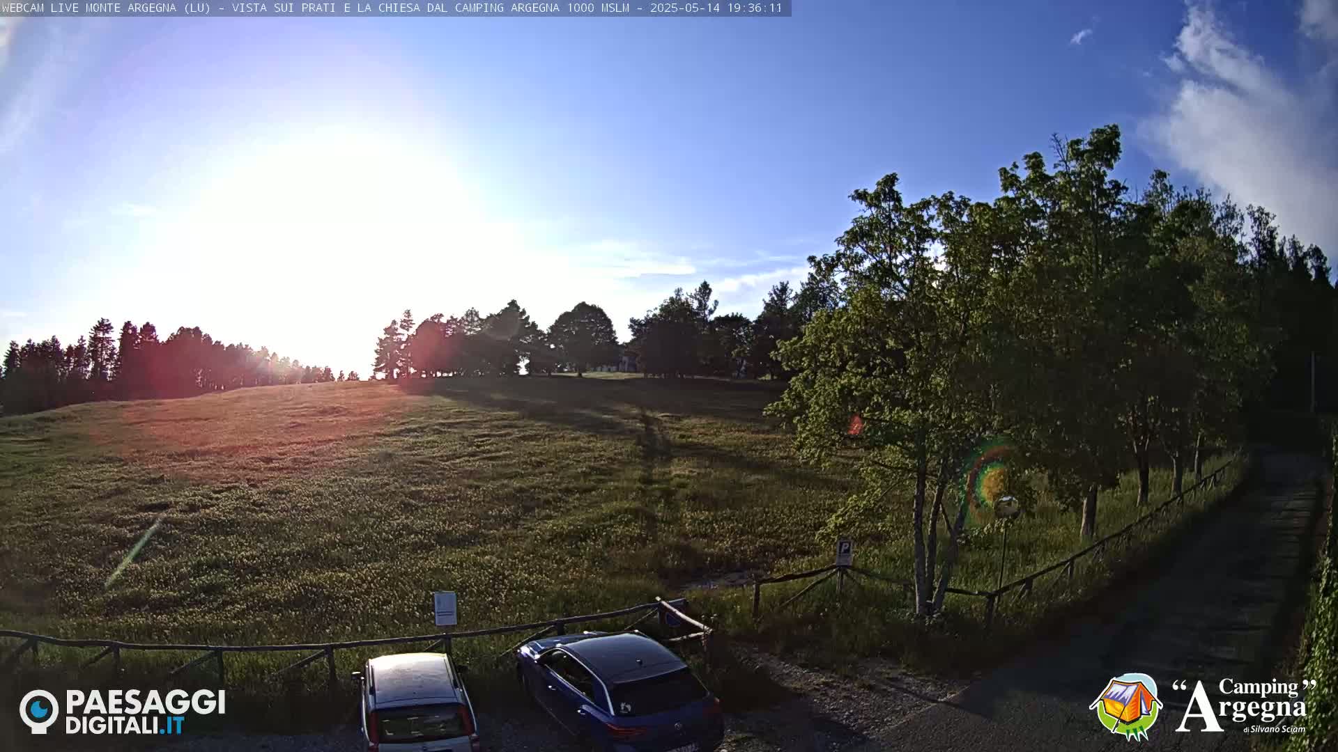 A grassy field with trees and two cars parked near a fence is bathed in the warm light of the setting sun under a mostly clear sky.