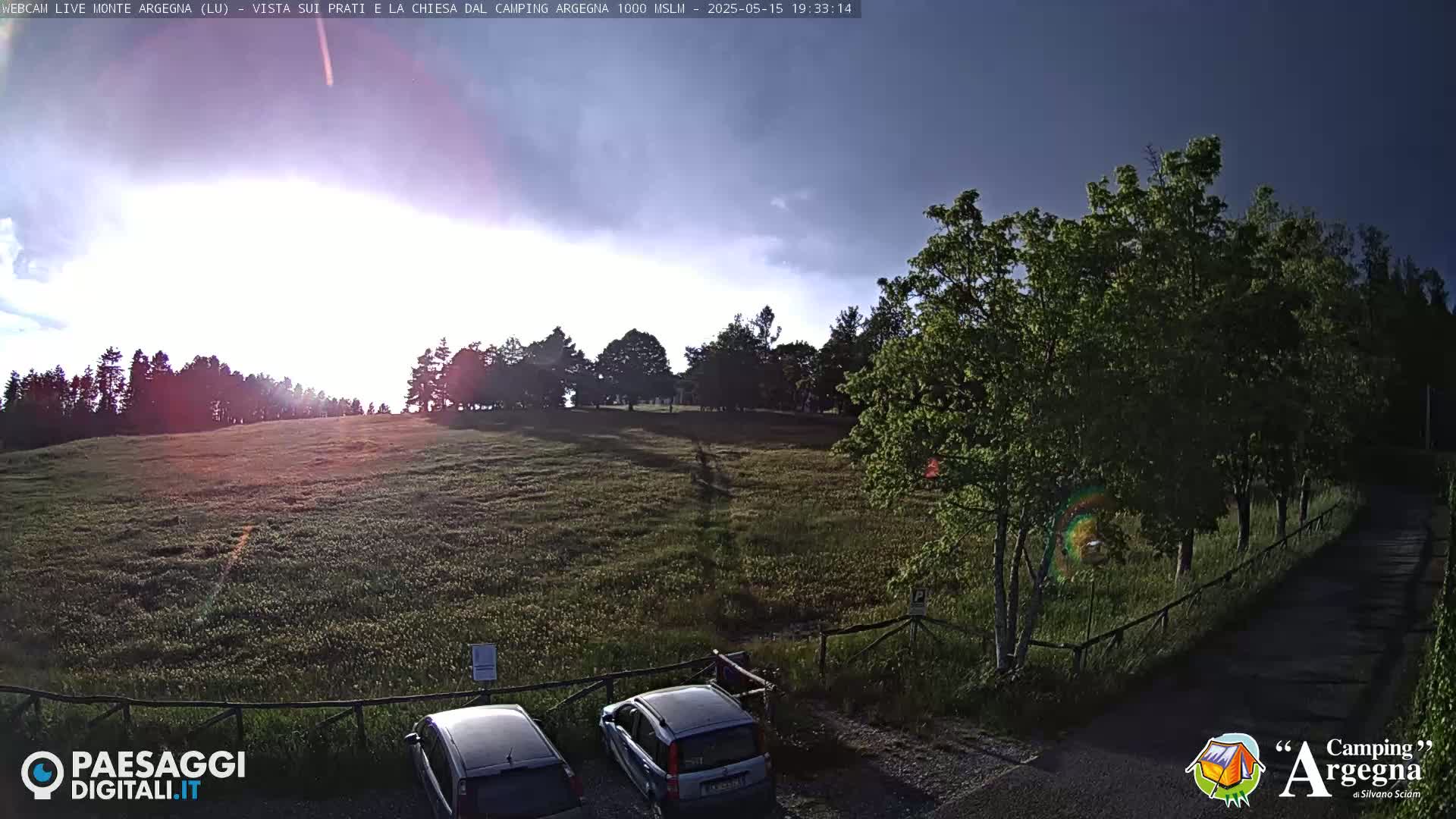 A grassy field with a line of trees in the background, two cars parked near a fence, and a partly sunny sky.