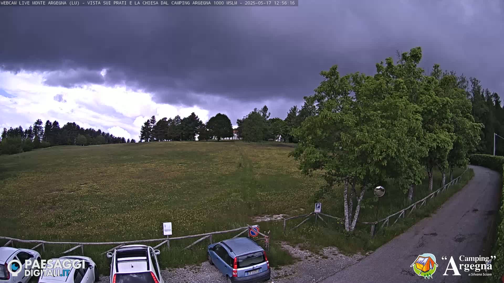 A grassy field with a few cars parked near trees under a dark, cloudy sky.