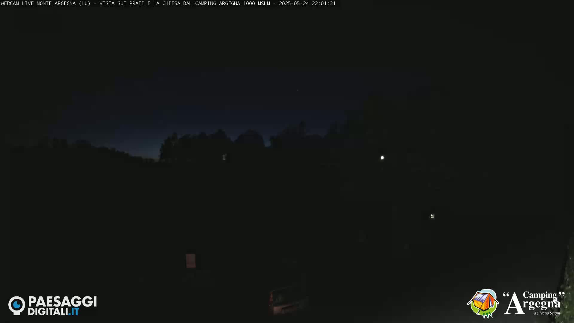 A dark, nighttime scene shows a distant, silhouetted treeline under a mostly clear, dark sky with a few faint lights visible.