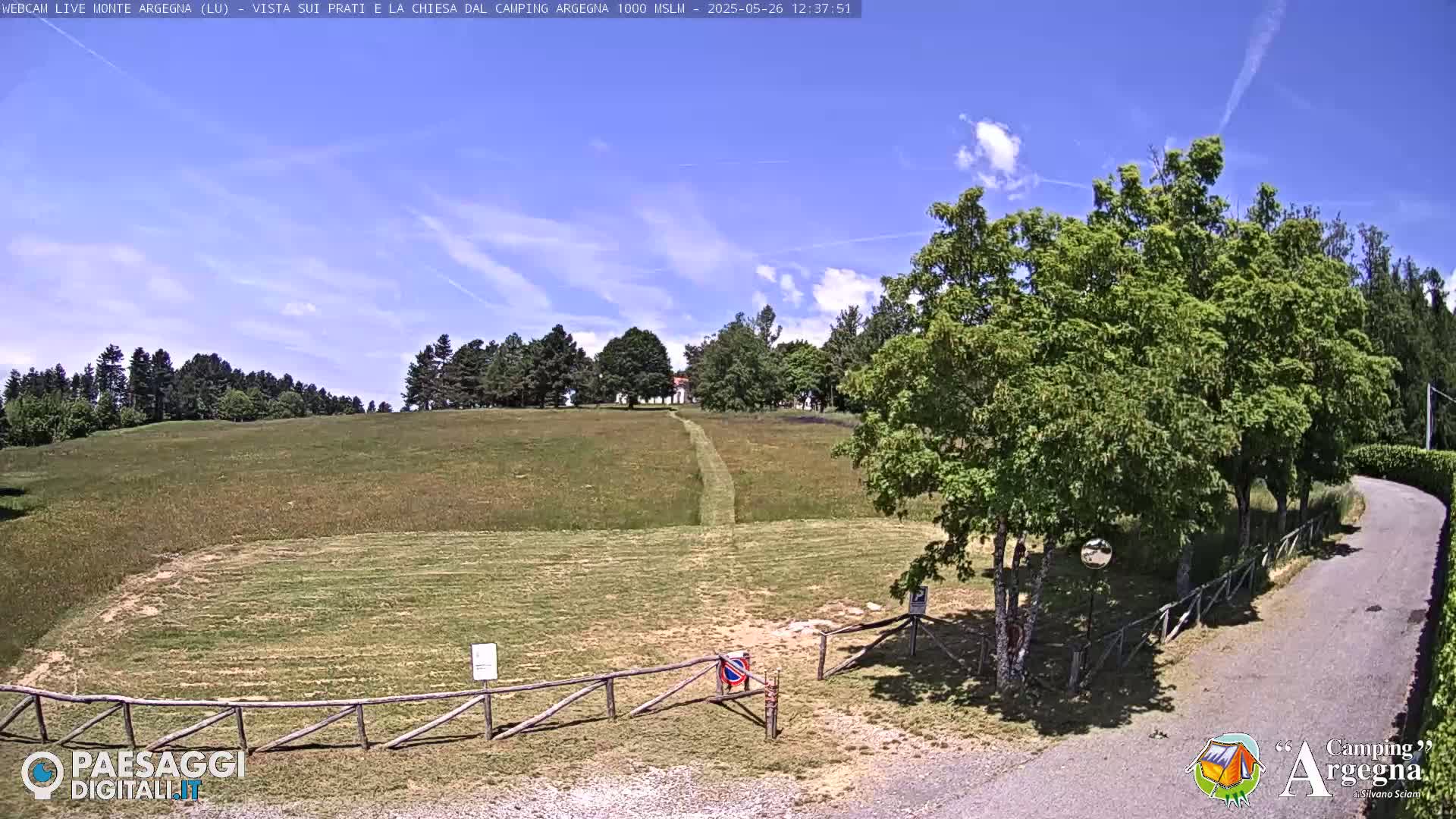 A grassy field with a dirt path leading to a line of trees under a mostly sunny sky.