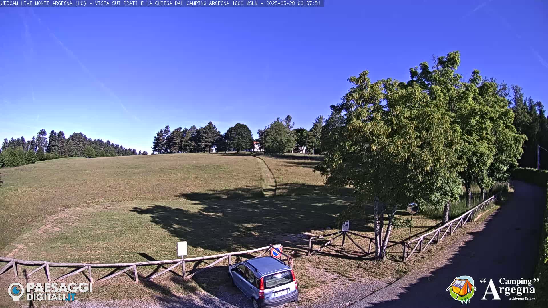 A grassy field with trees and a single car parked near a wooden fence under a clear blue sky.
