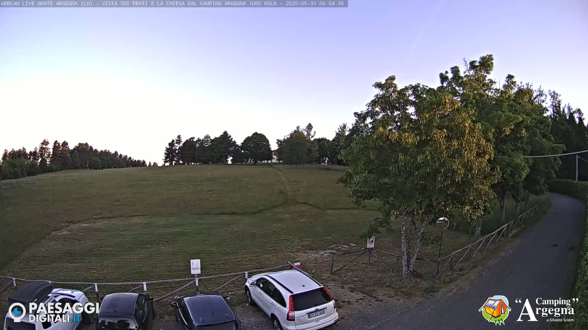 A grassy field with a line of trees in the background is visible under a pale, twilight sky; several cars are parked near a wooden fence in the foreground.