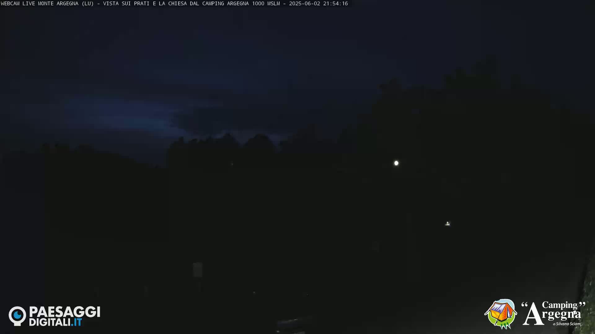 A nighttime view of dark trees and a mostly clear, dark blue sky with a few faint clouds.