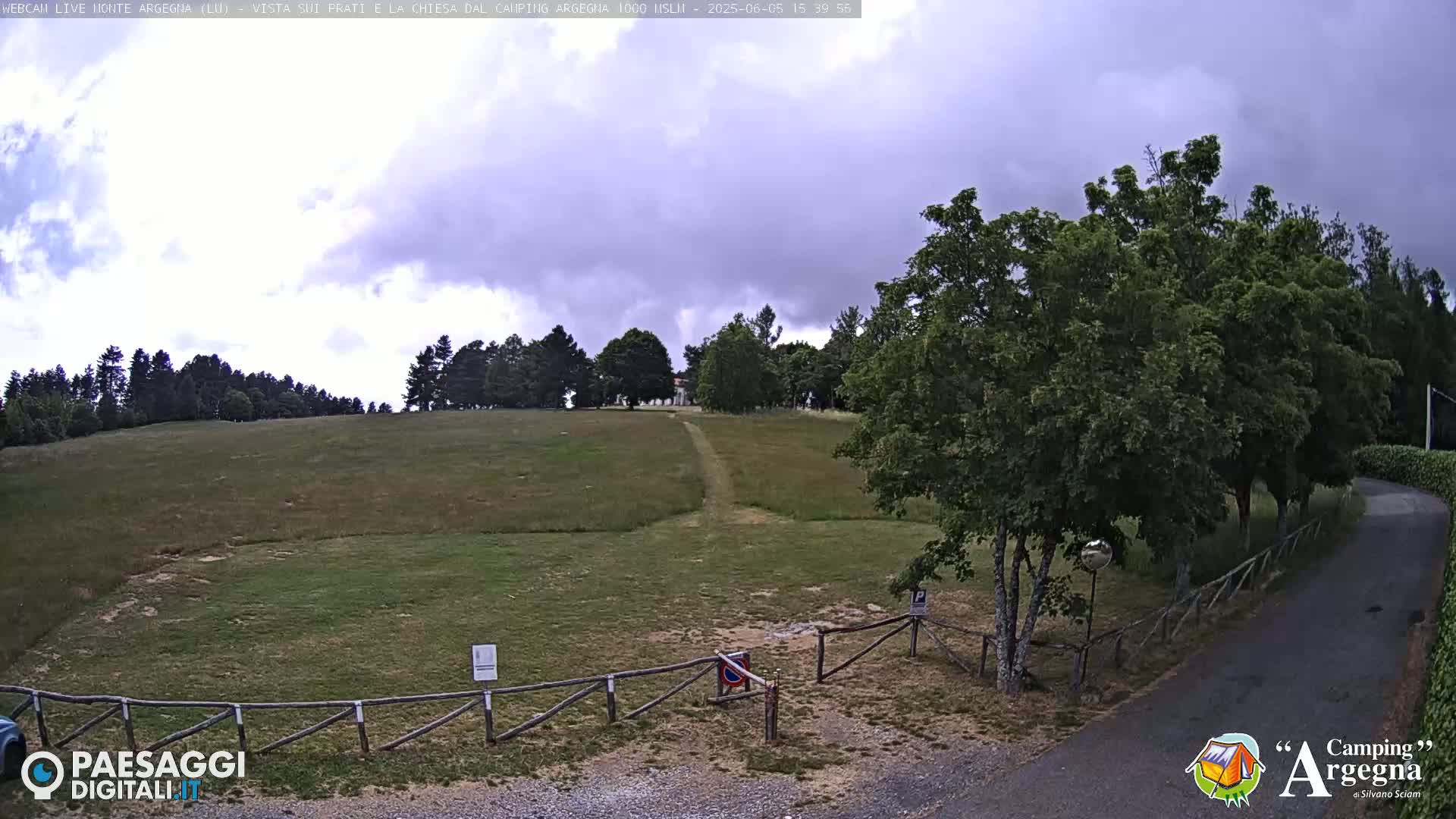 A grassy field with a dirt path leading to a line of trees under a cloudy sky.