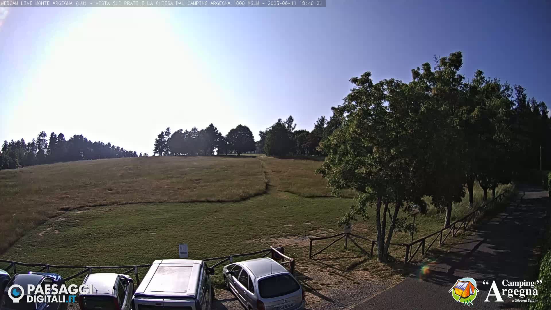 A sunny, grassy field with several cars parked near a wooden fence and trees in the foreground, and a line of trees in the background.