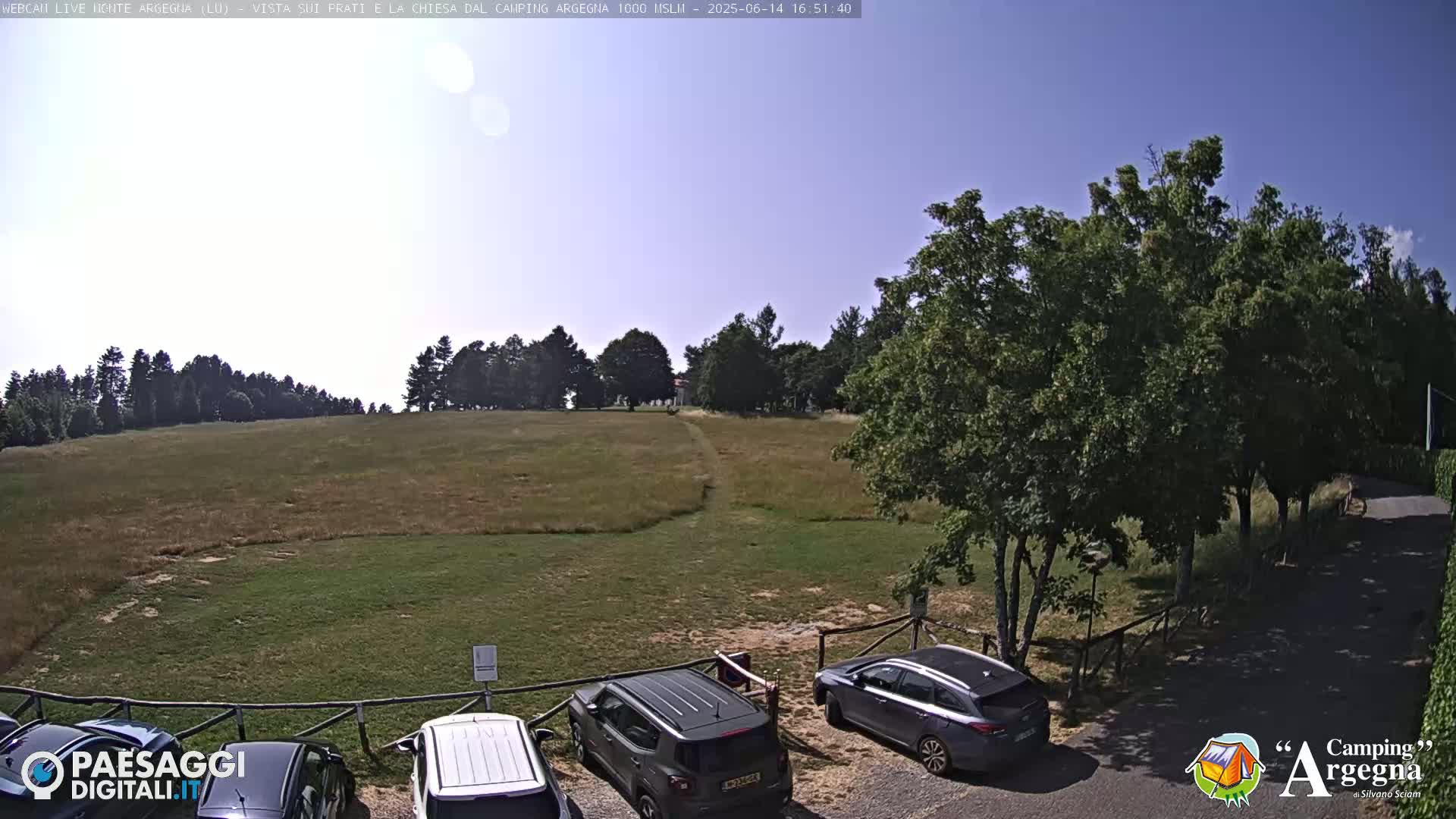 A sunny, outdoor scene shows a grassy field with several cars parked near a line of trees, and a path leading to a distant line of trees.