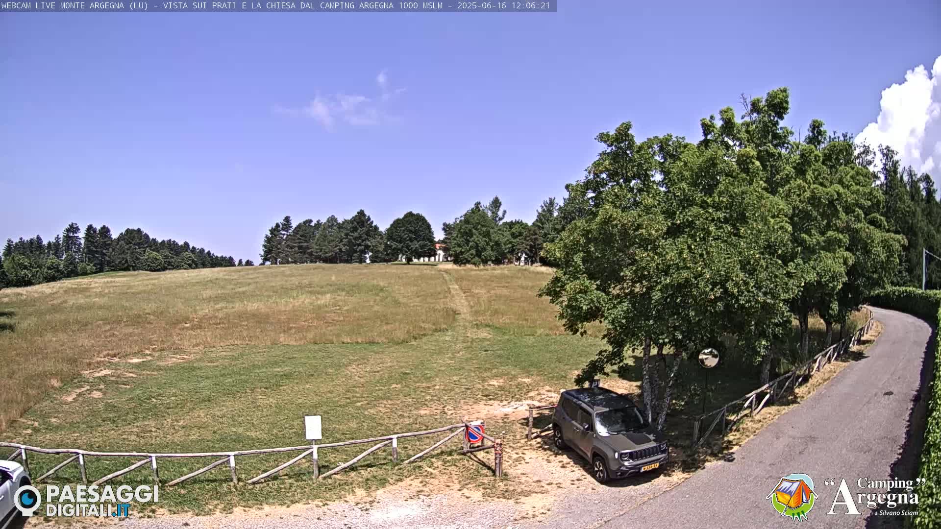 A grassy field with a few trees and a dark-colored SUV parked near a wooden fence under a clear blue sky.