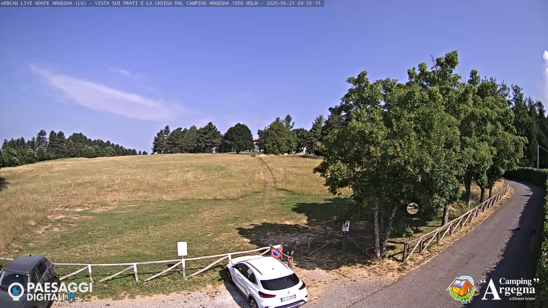 A grassy field with a few trees and a white car parked near a wooden fence under a mostly clear blue sky.