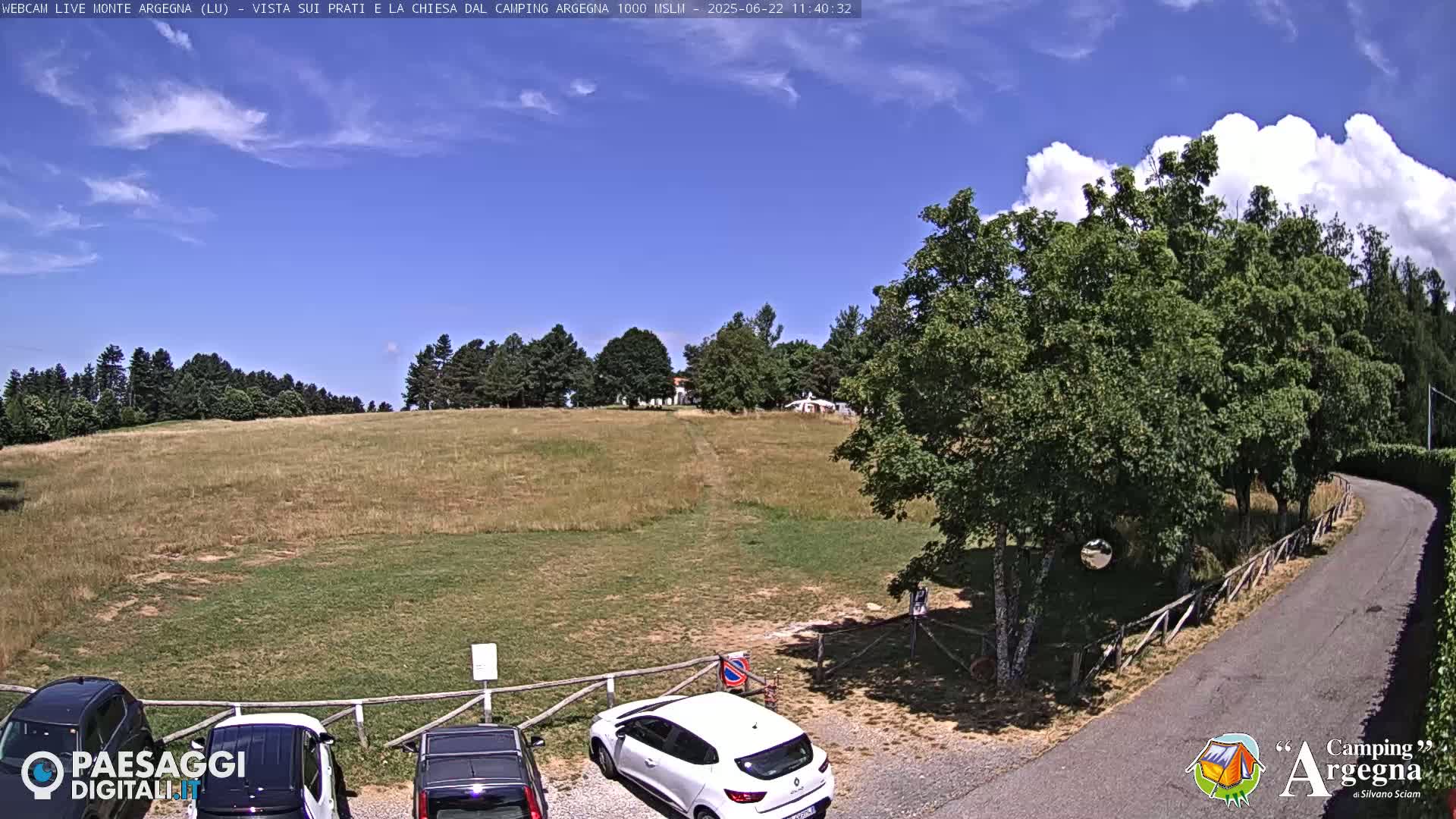 A sunny day reveals a grassy field with a few parked cars near a road bordered by trees.