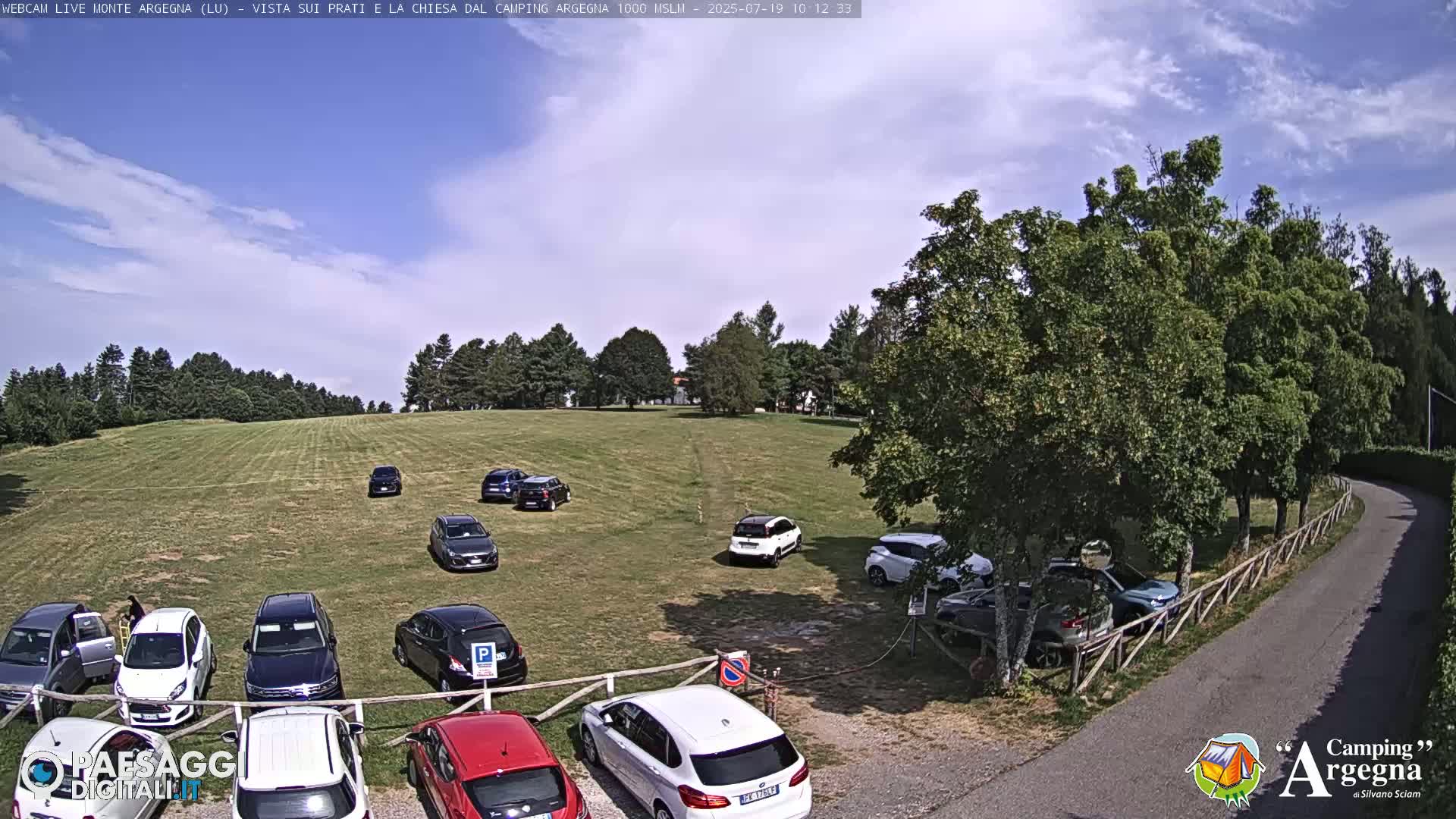 A grassy field with several cars parked in a lot, surrounded by trees under a partly cloudy sky.