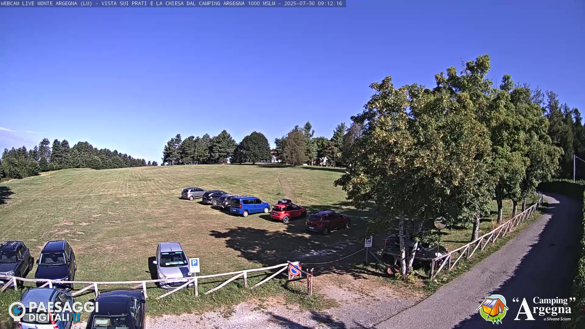 A grassy field with several cars parked in it, surrounded by trees under a clear blue sky.