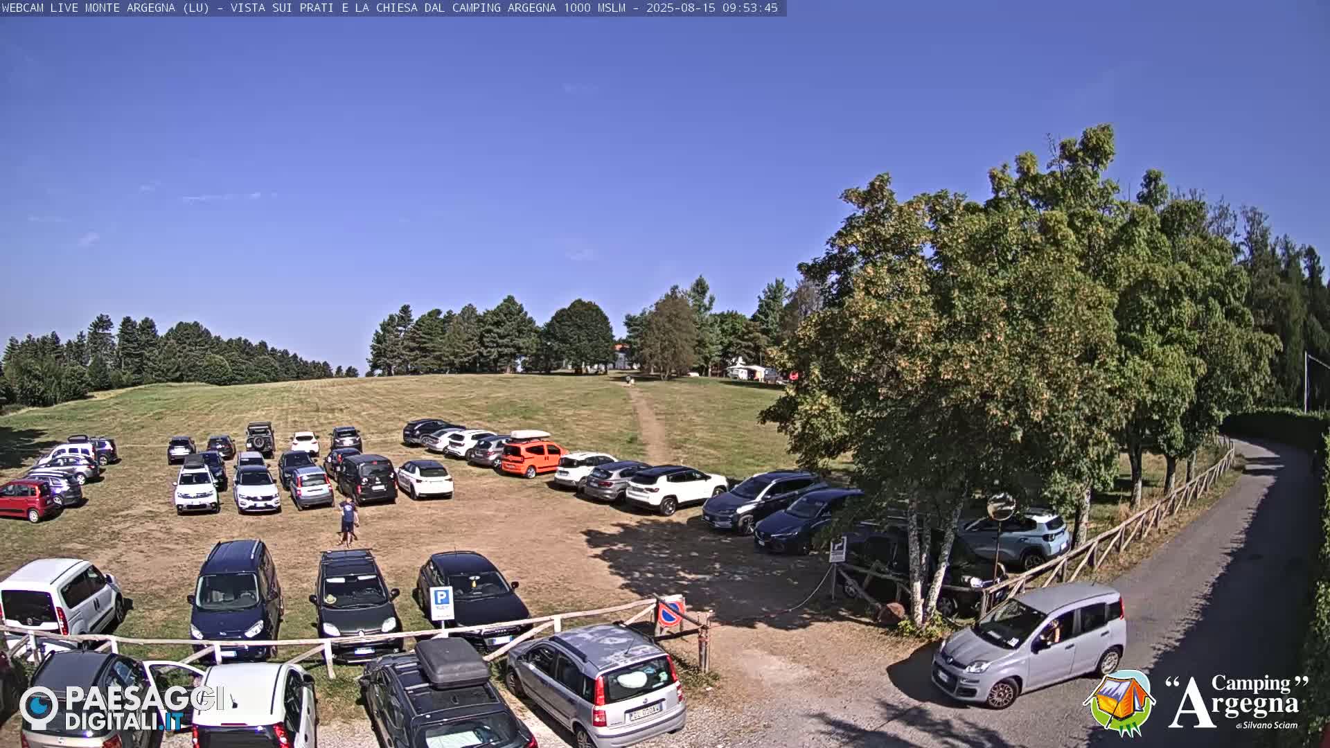 A large parking lot filled with cars is situated on a grassy field, under a clear blue sky, next to a road lined with trees.