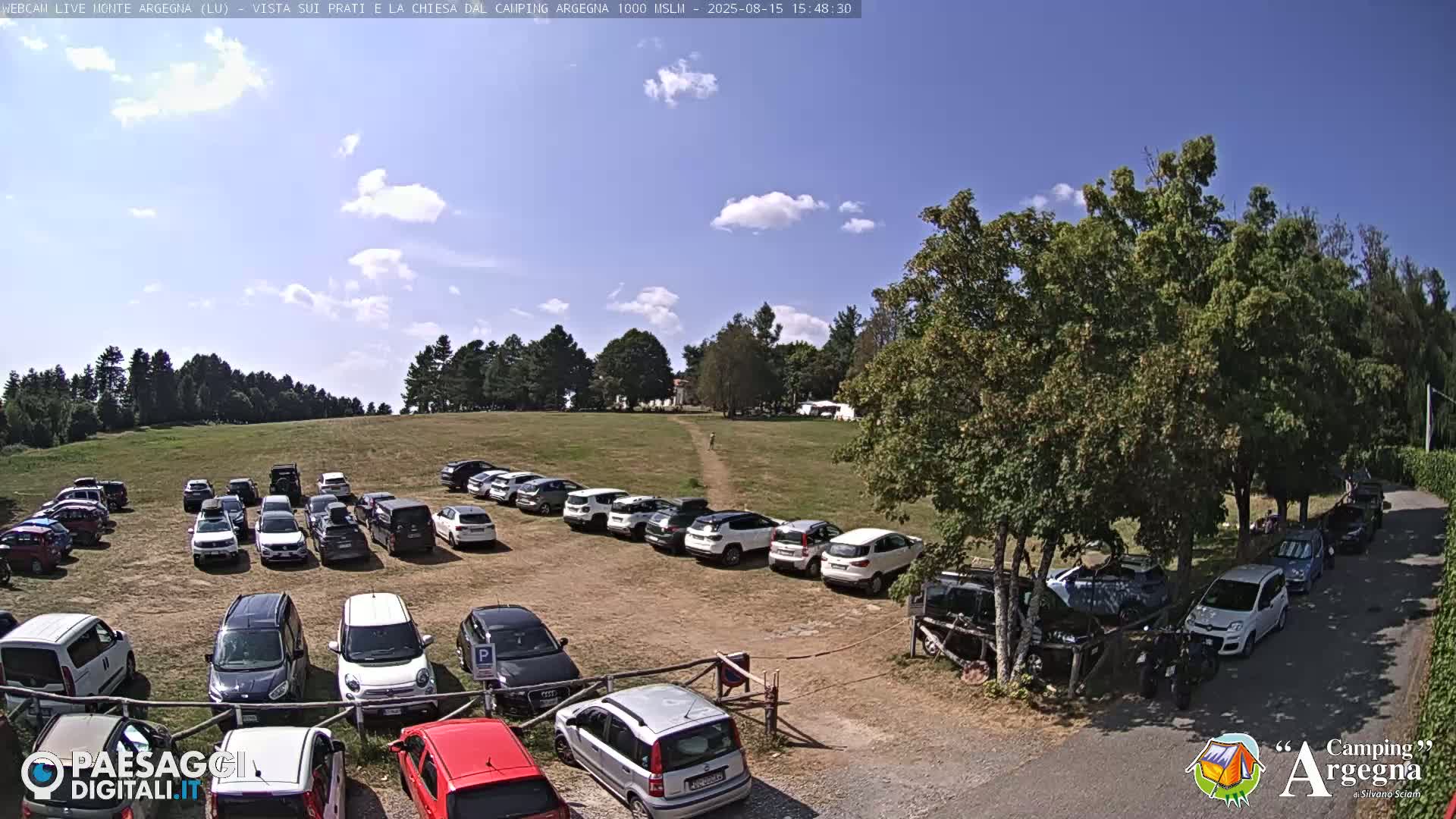 A large parking lot filled with cars is situated on a grassy field, under a clear blue sky, next to a road lined with trees.