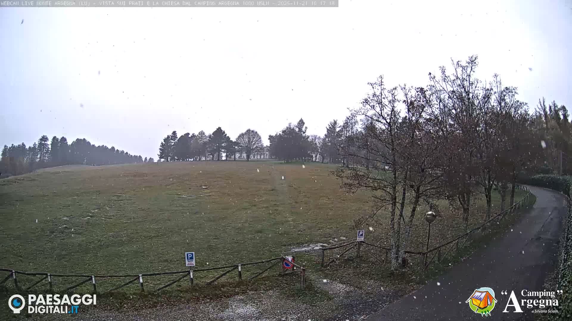 A light snowfall dusts a wide green and brown grassy field lined by a wooden fence, with various bare and evergreen trees scattered across the landscape and a wet, winding road visible on the right, all under an overcast sky.