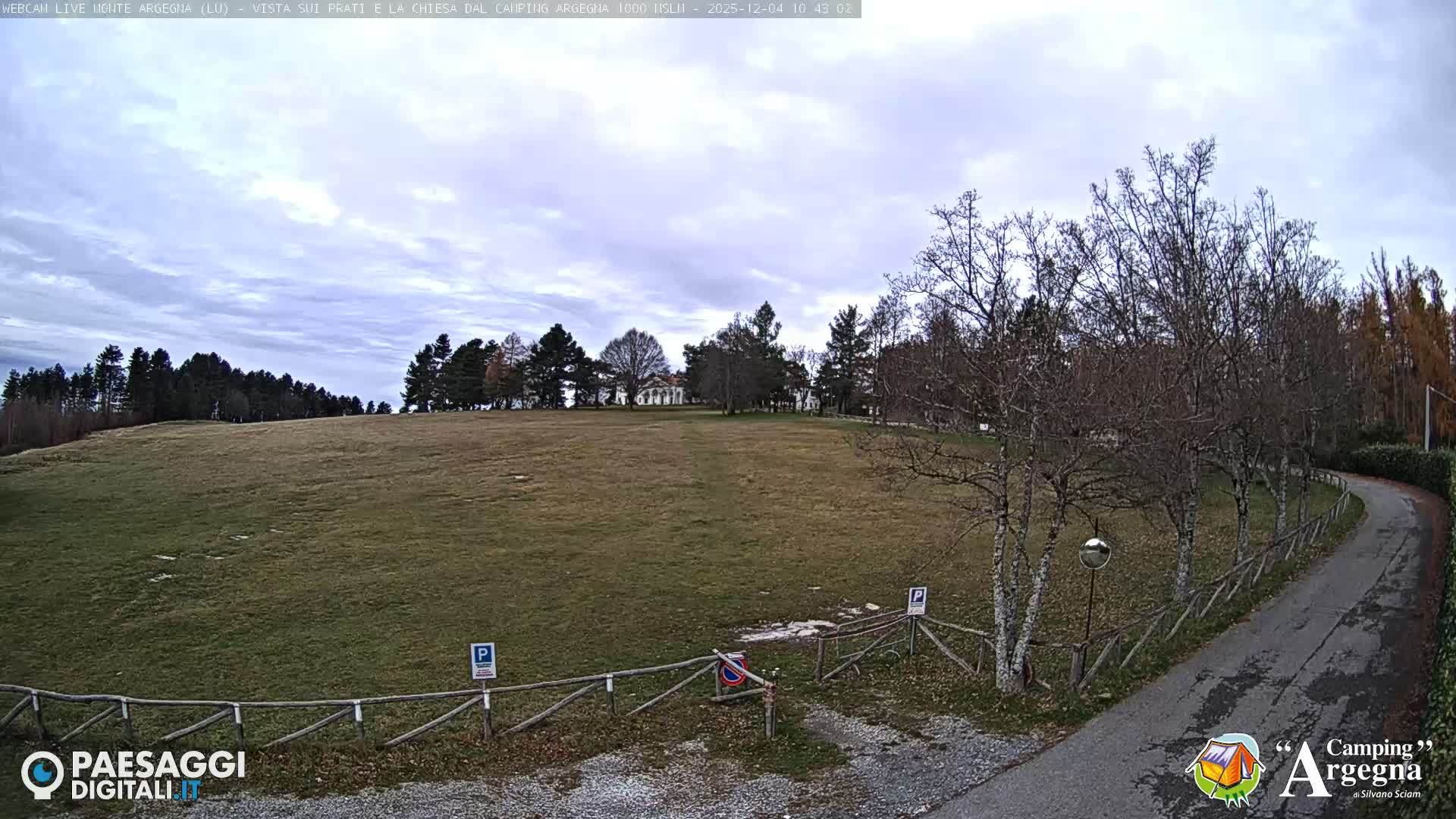Under an overcast sky, a large grassy field with patches of bare ground stretches towards distant trees and a white building, bordered in the foreground by a winding asphalt road lined with mostly bare trees and a wooden fence.