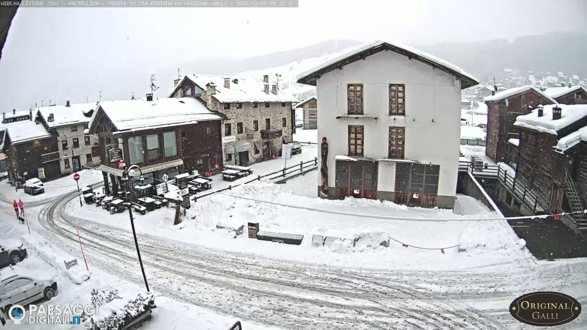 Snow-covered buildings and a street in a village under a lightly snowing sky.
