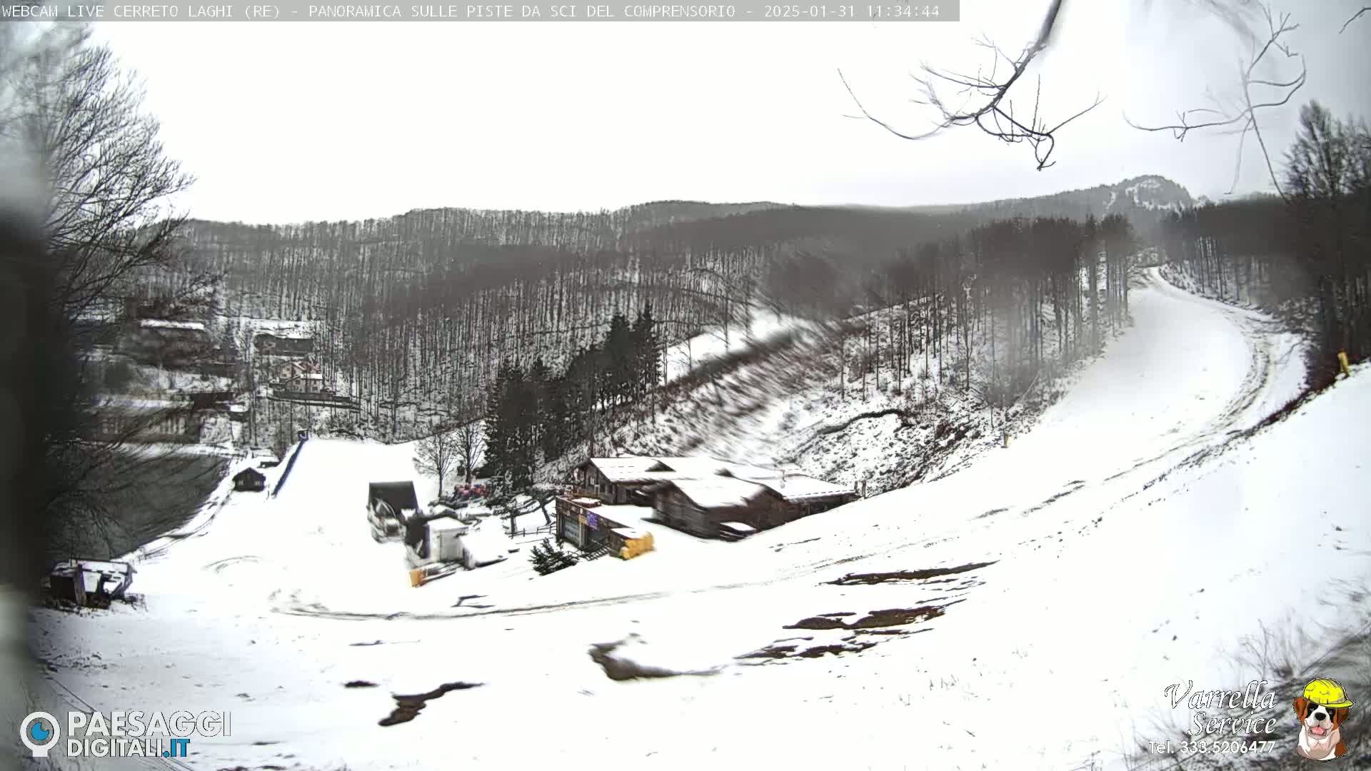 A snow-covered ski slope winds through a wooded area under an overcast sky.