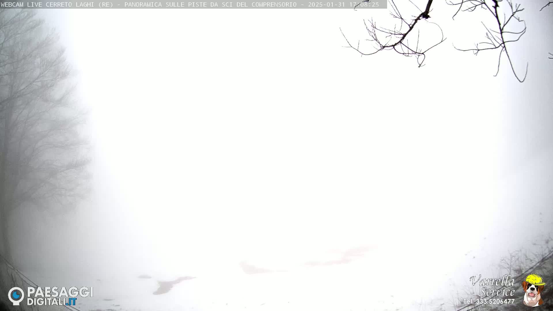 A foggy, snowy landscape is visible, with bare tree branches in the foreground.