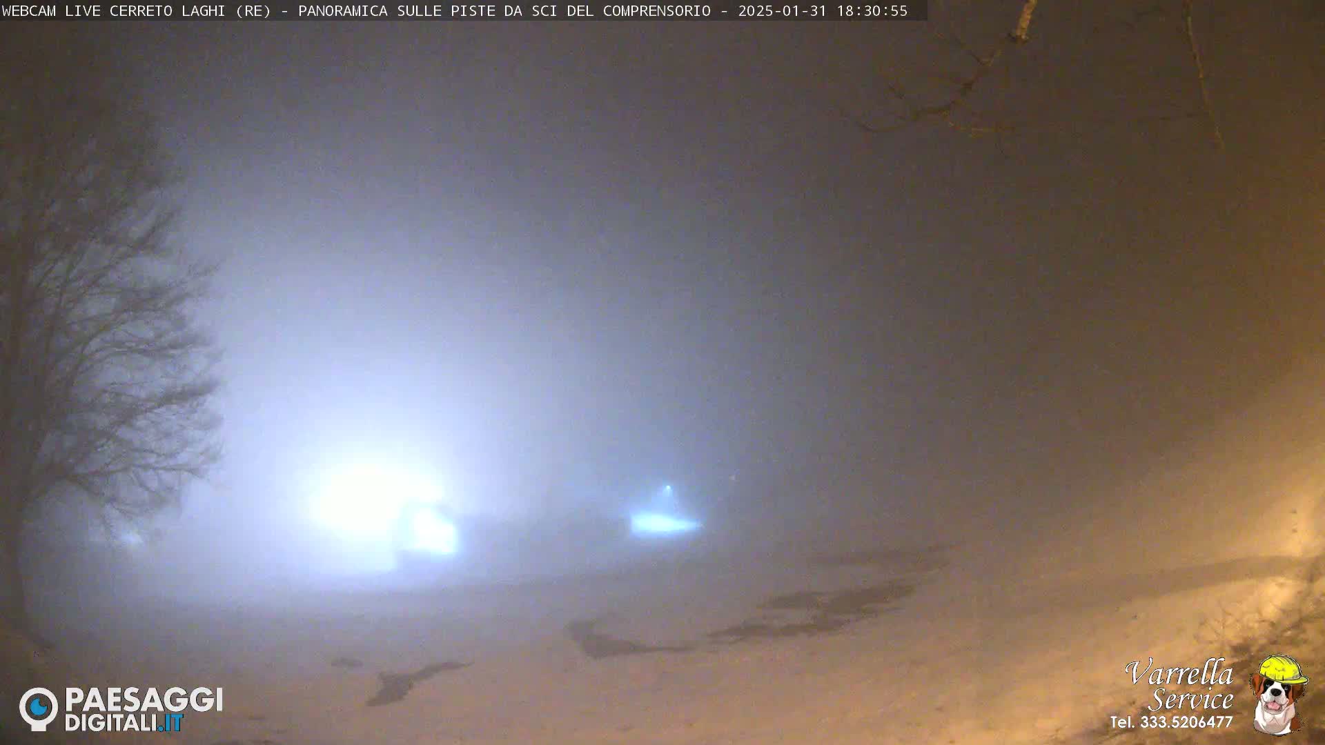A foggy, snowy scene at night is illuminated by distant headlights.