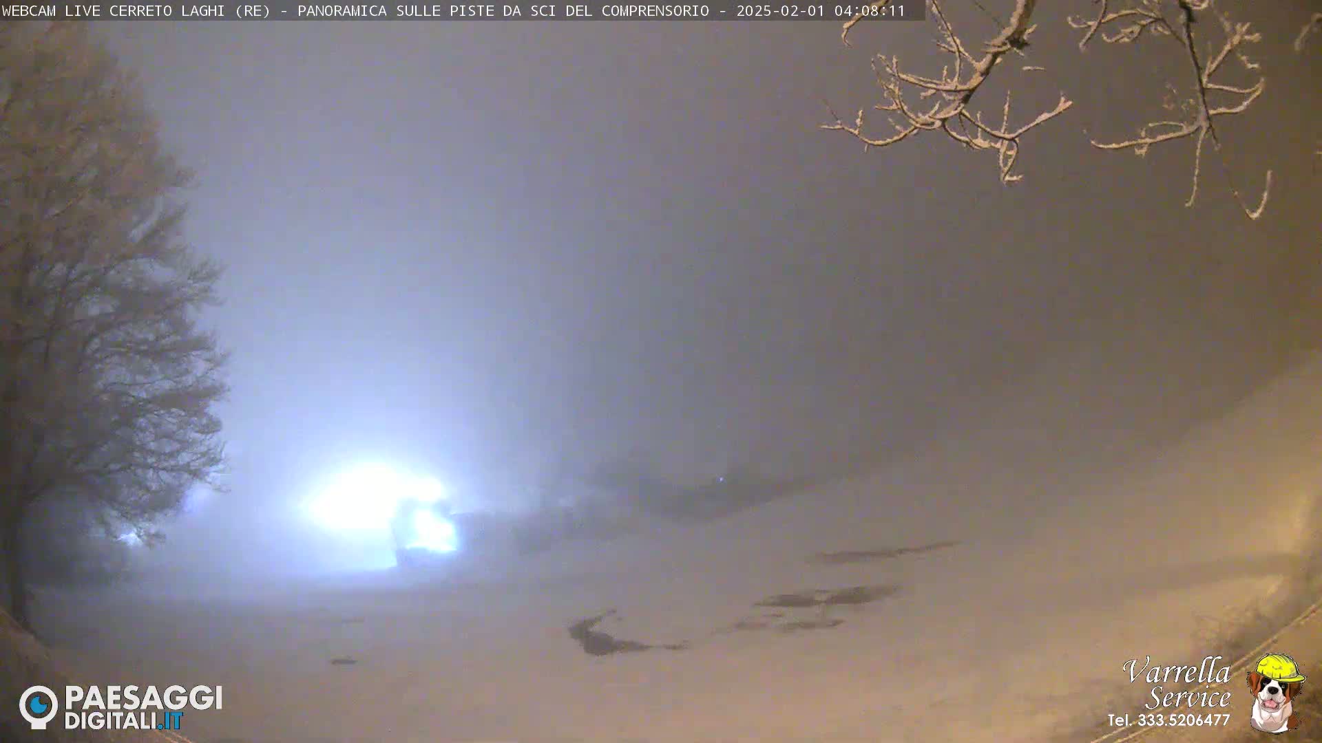 A snow-covered landscape is dimly lit under a foggy, nighttime sky, with snow-laden tree branches visible in the upper right corner.