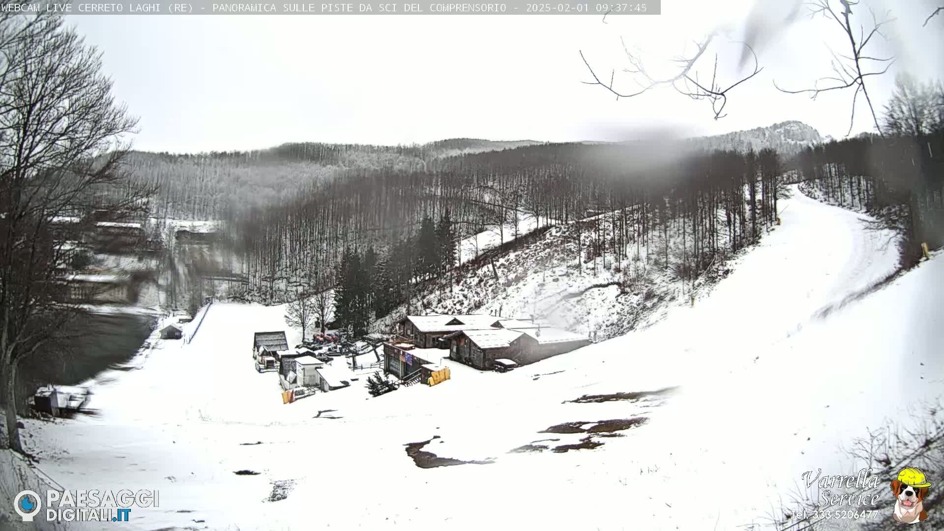 A snow-covered ski slope and resort nestled in a snow-dusted forest under an overcast sky.
