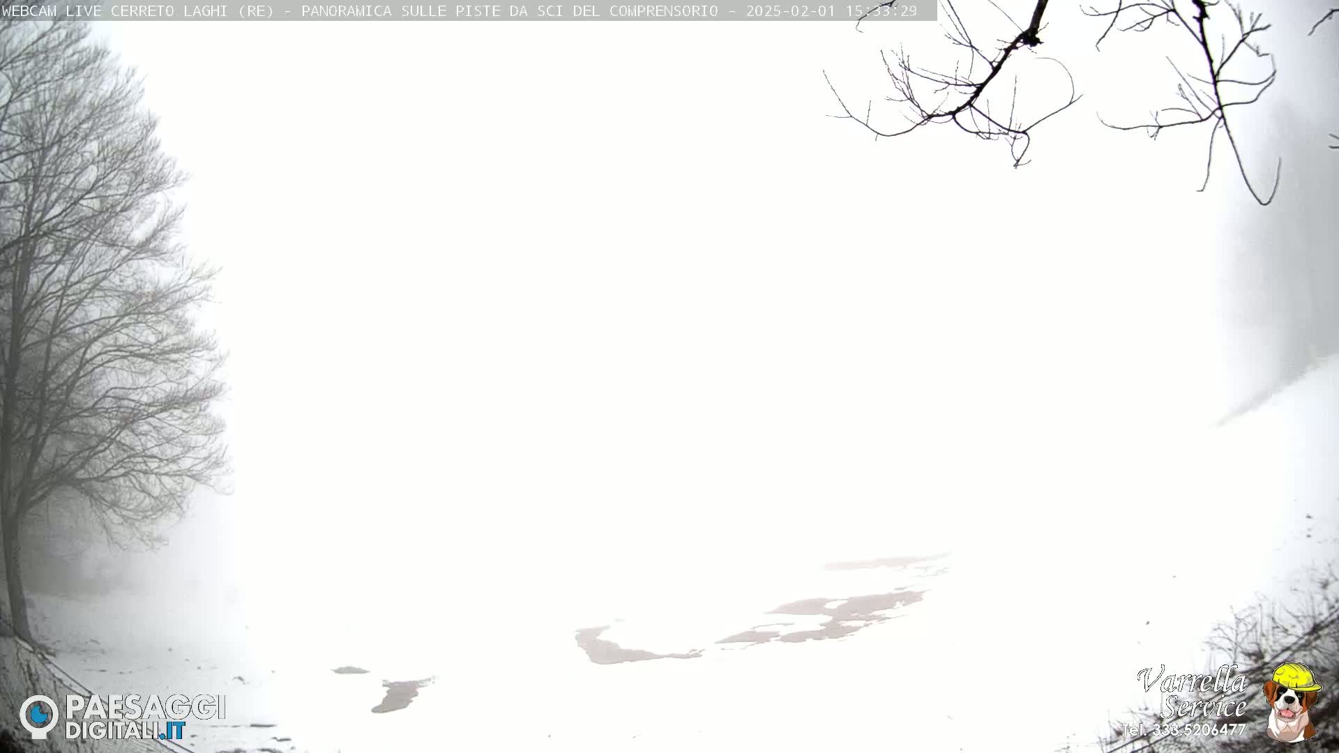 A snow-covered landscape is shrouded in fog, with bare tree branches visible in the left foreground.