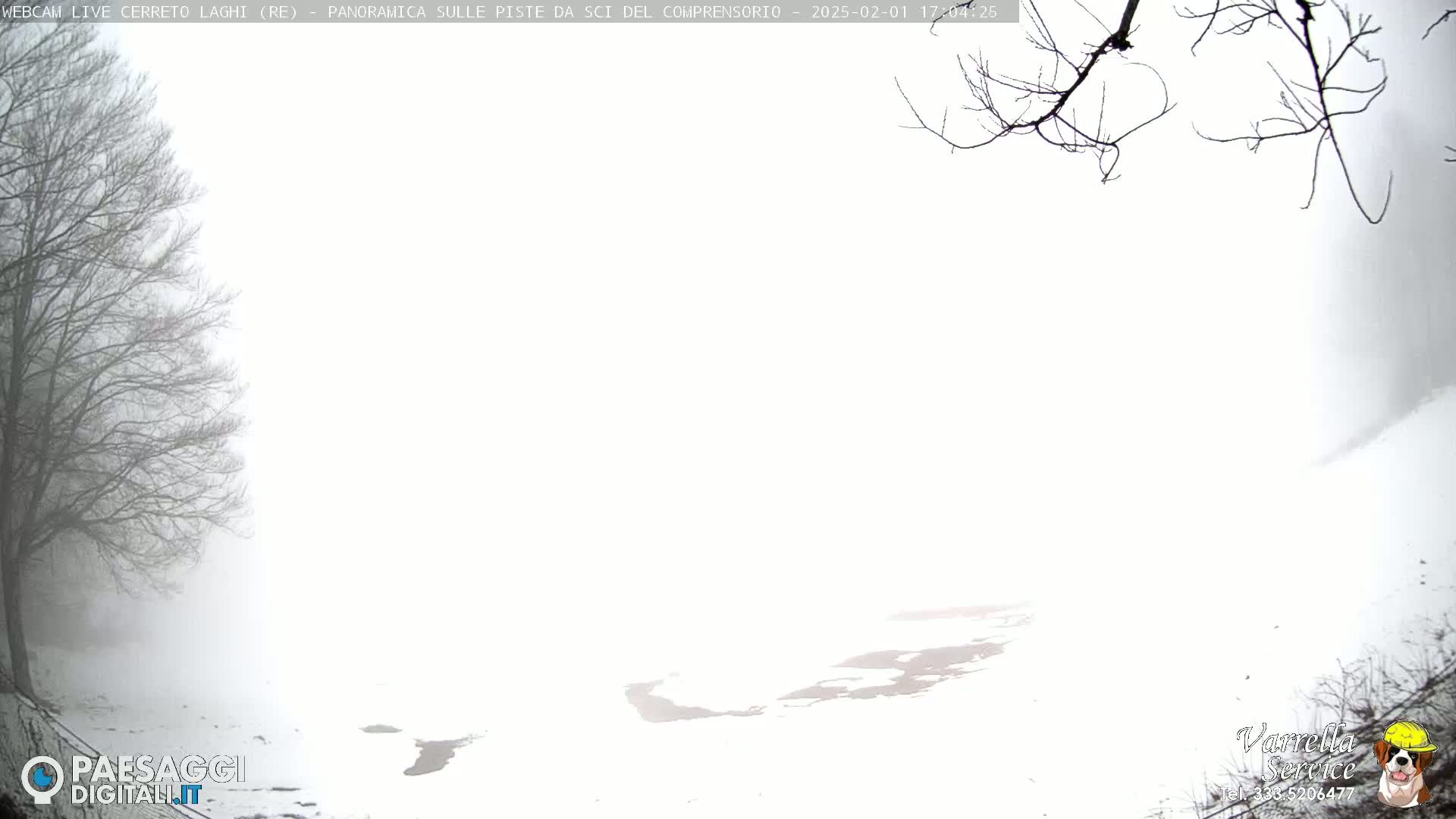 A snowy, foggy landscape is visible, with bare branches of trees in the foreground and a mostly obscured view of the background.