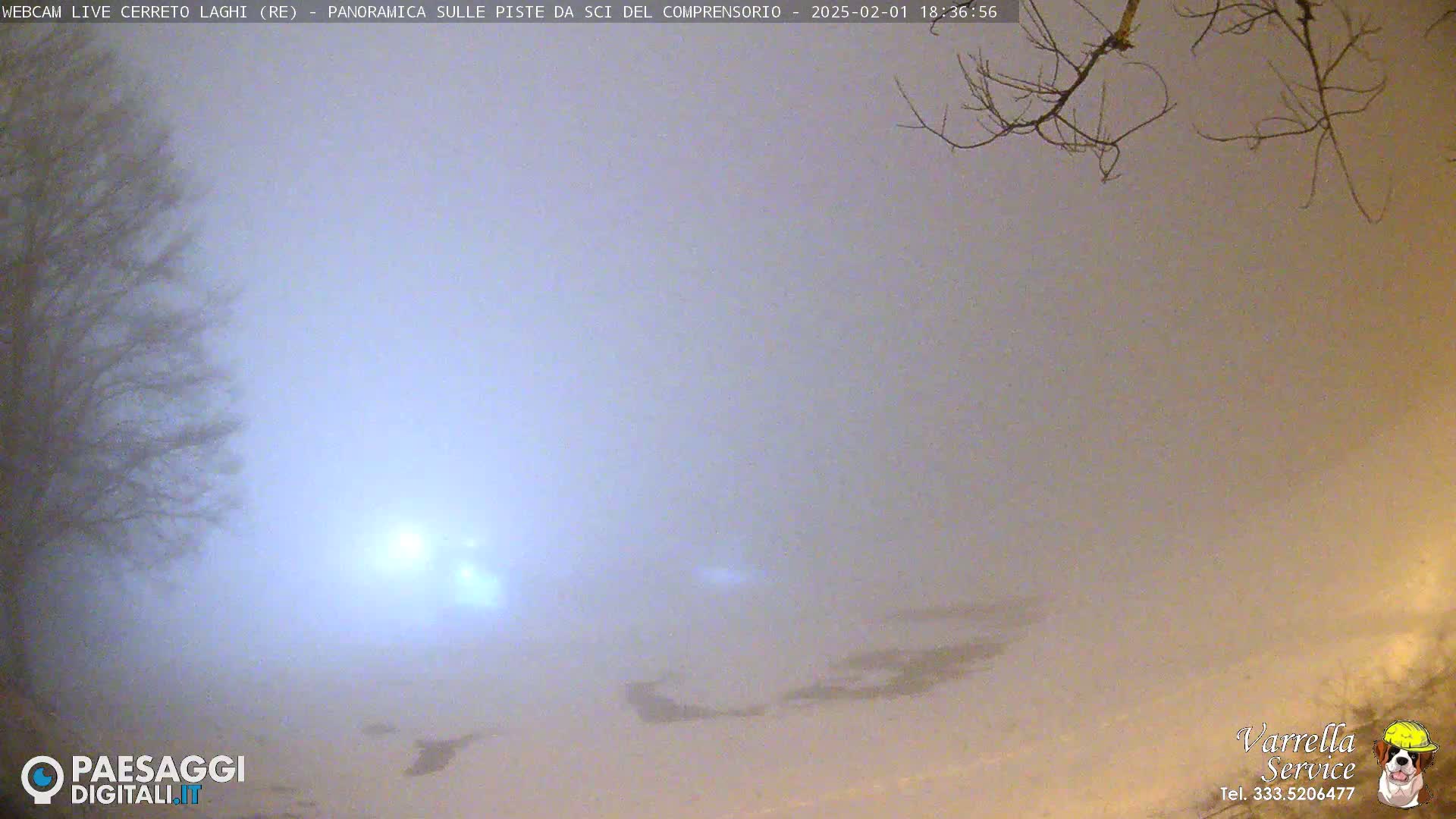 A foggy, snowy landscape is visible at night, with bare tree branches in the upper right corner and a faint light source in the distance.
