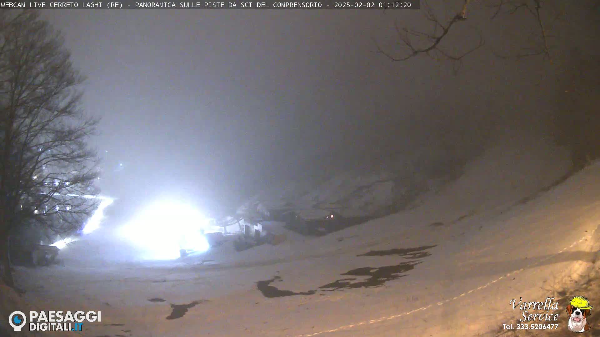 A brightly lit area on a snowy, foggy night is visible from a distance, with bare tree branches in the foreground.
