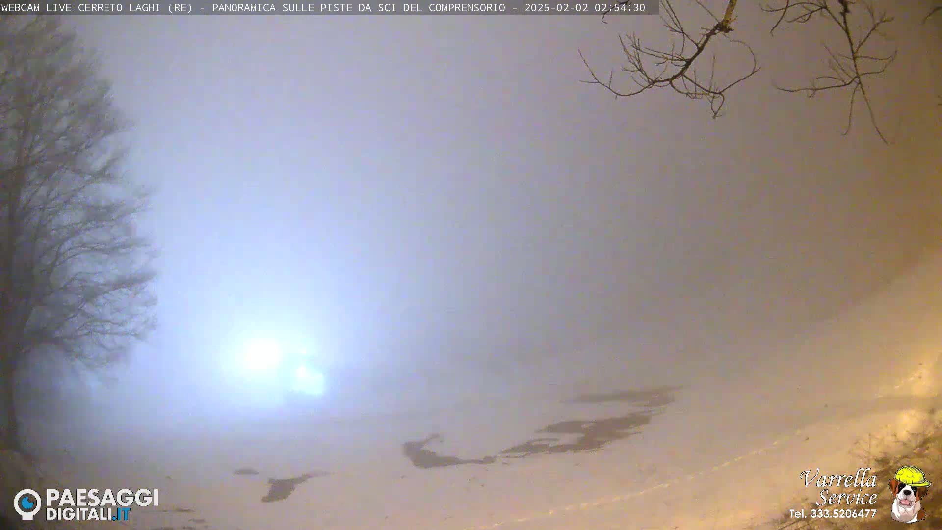 A snowy, foggy landscape is visible at night, with a few bare tree branches in the upper right corner and a faint light source in the middle distance.