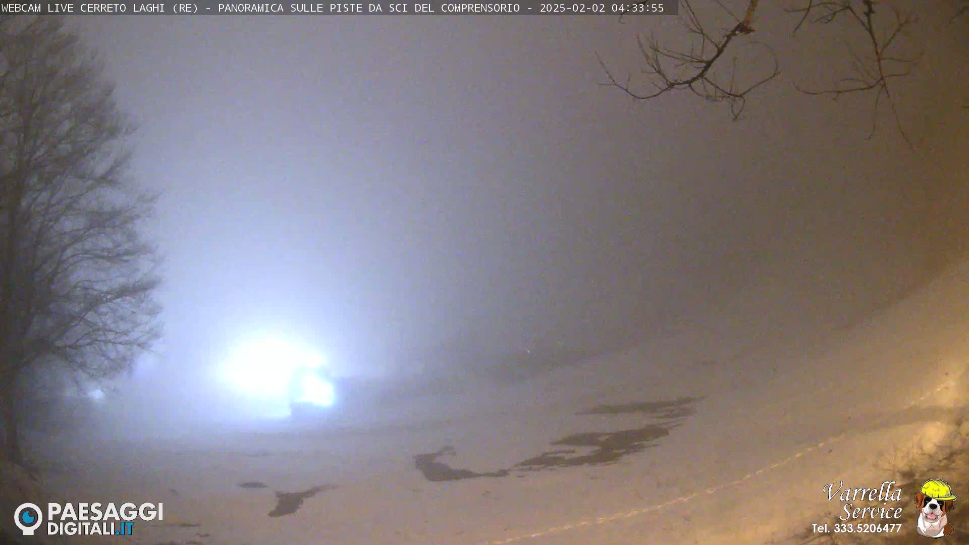 A foggy, snowy scene at night shows a sparsely wooded area with dim lights in the distance.